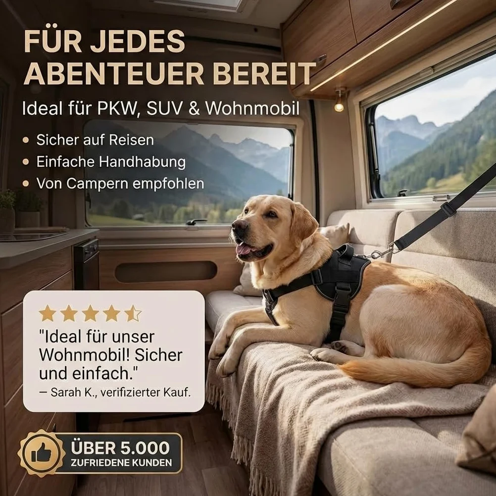 Ceinture de sécurité Extensible pour Chien/Ceinture de sécurité pour Chien de Taille Moyenne et Grande/Ceinture Sangle pour Chien