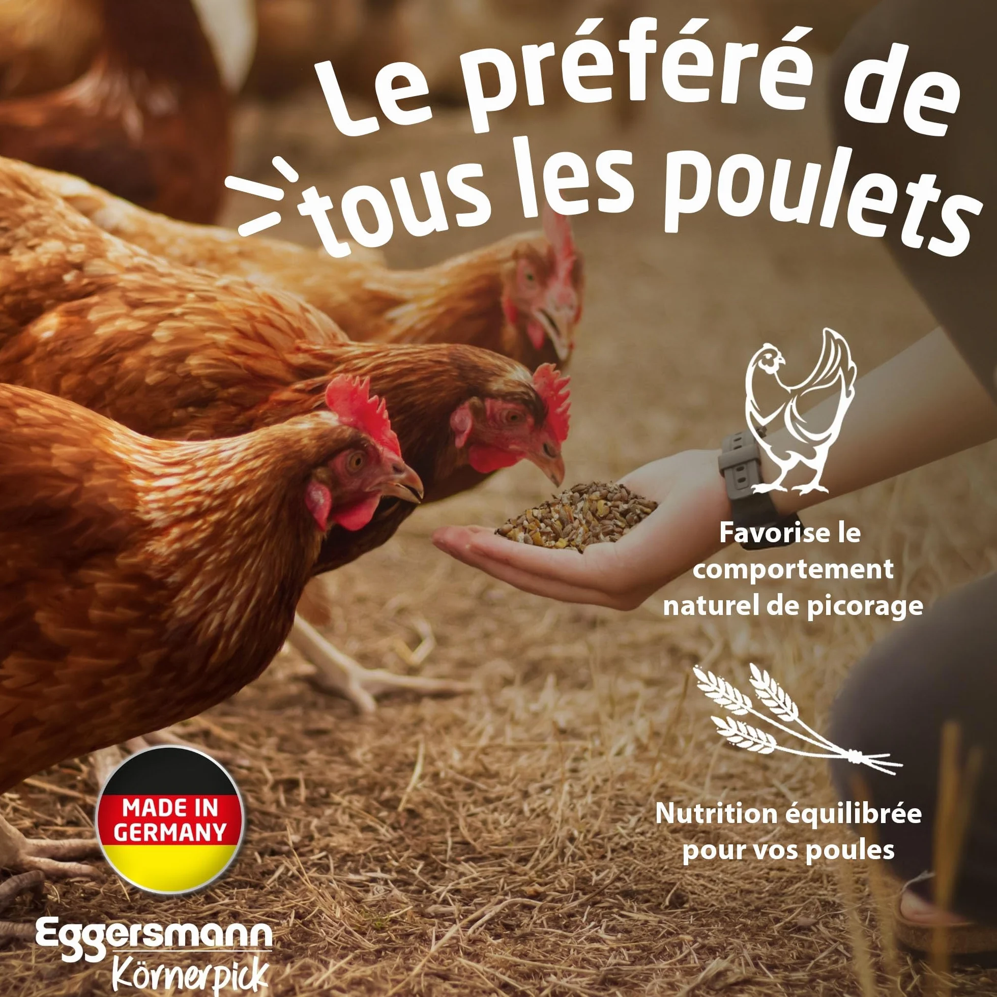 Eggersmann Nourriture Poule 25 kg Basic Aliments Graines Premium pour Poules, oies & canards
