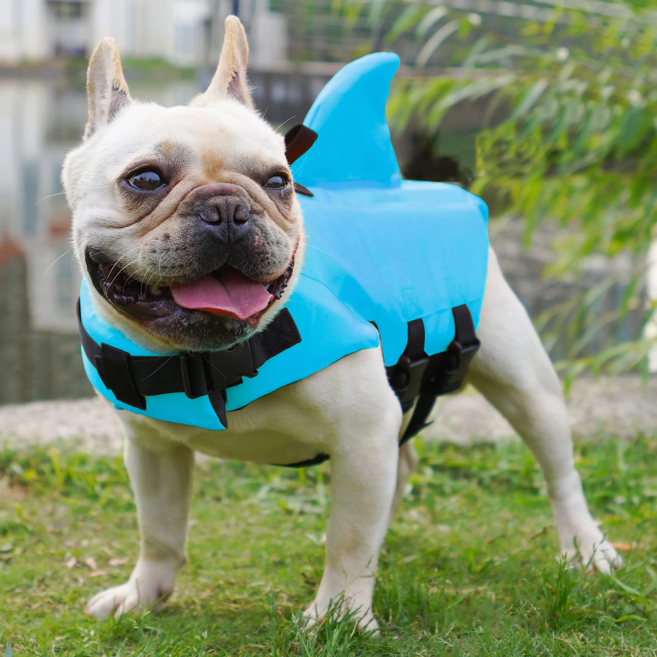 Gilet de Sauvetage pour Chien Bouée de Natation Chiot Sécurité Piscine XS Bleu