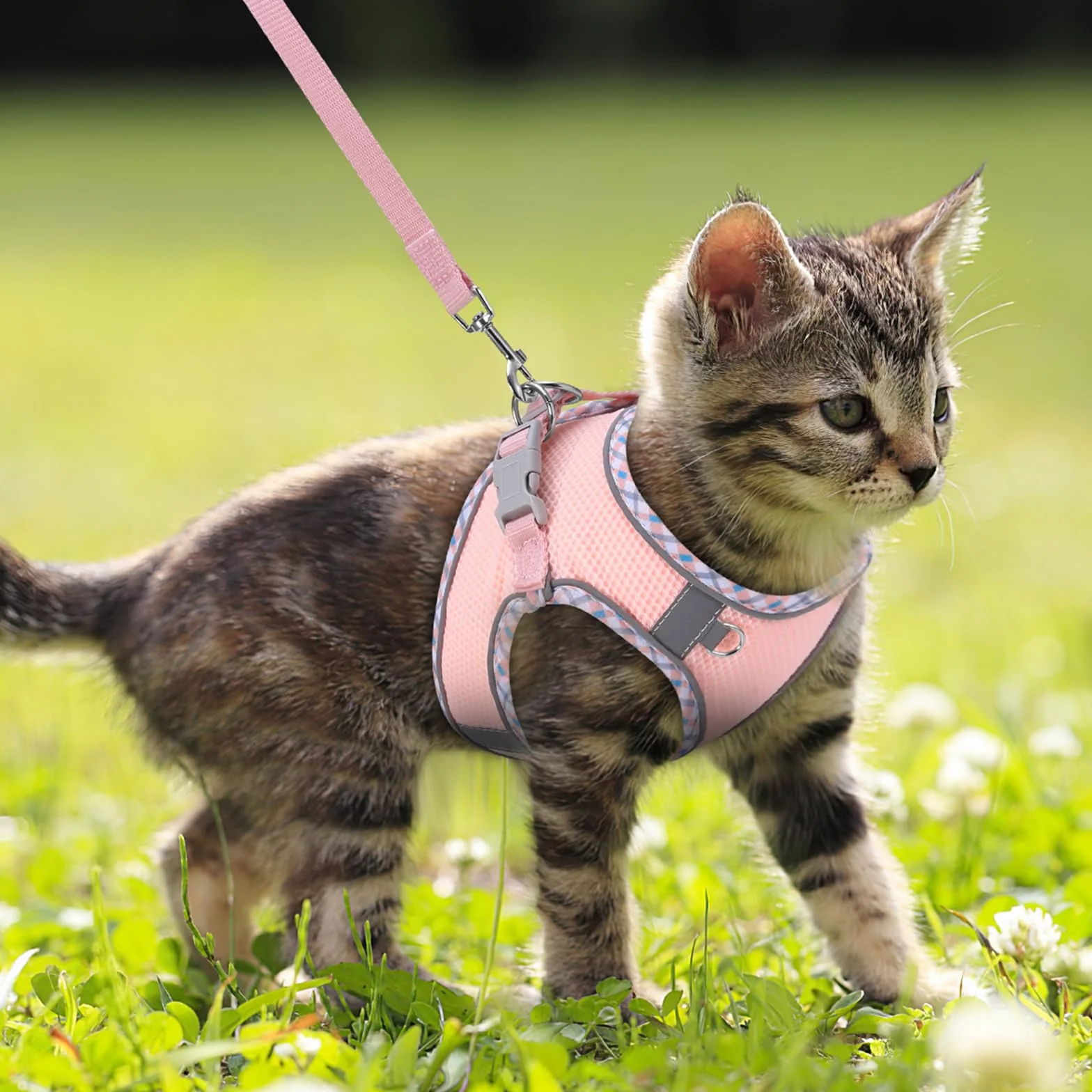 Harnais pour Chat Réglable Anti-Évasion Réfléchissant Respirant avec Laisse, XXS, Rose