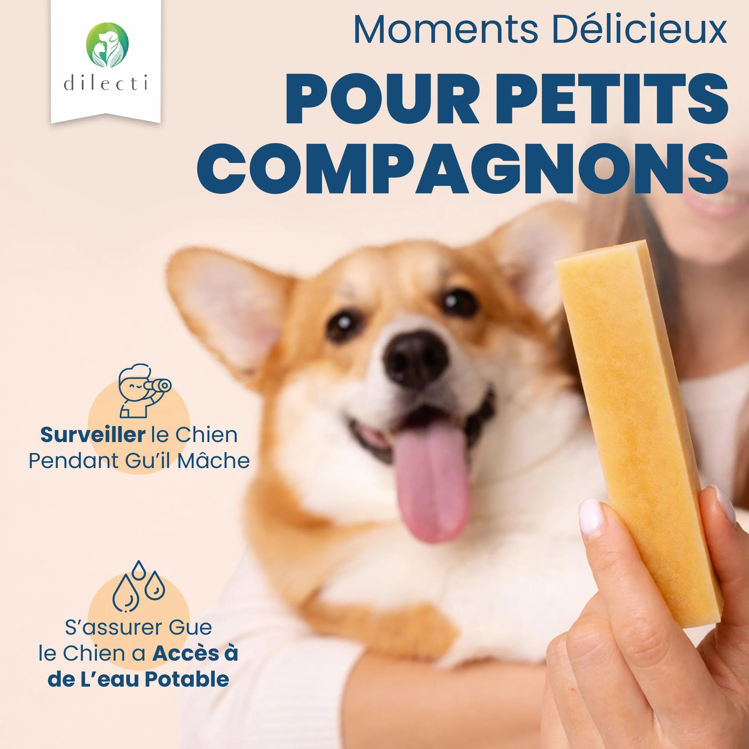 Dilecti Os au Fromage Naturel pour Chiens Friandises à Mâcher Taille L Lot de 3