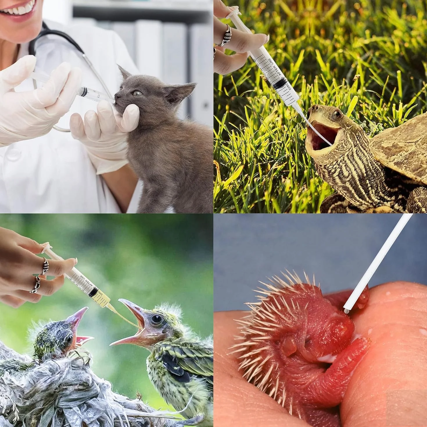 Tuyau d'alimentation pour Oiseaux Seringue 10 ML Acier Inoxydable