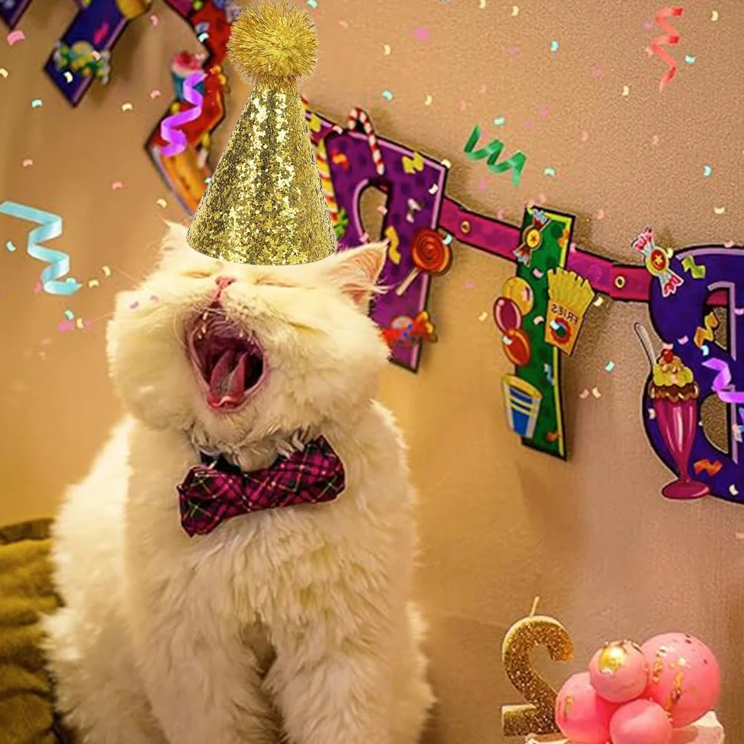 2 Pièces Chapeau D'Anniversaire De Chat, Chapeaux De Fête De Chien Chapeaux De Chats Multicolores Mignon Chiot Chapeau De Fête Avec Pompons Réglable Chapeaux D'Anniversaire De Chien Chapeaux D