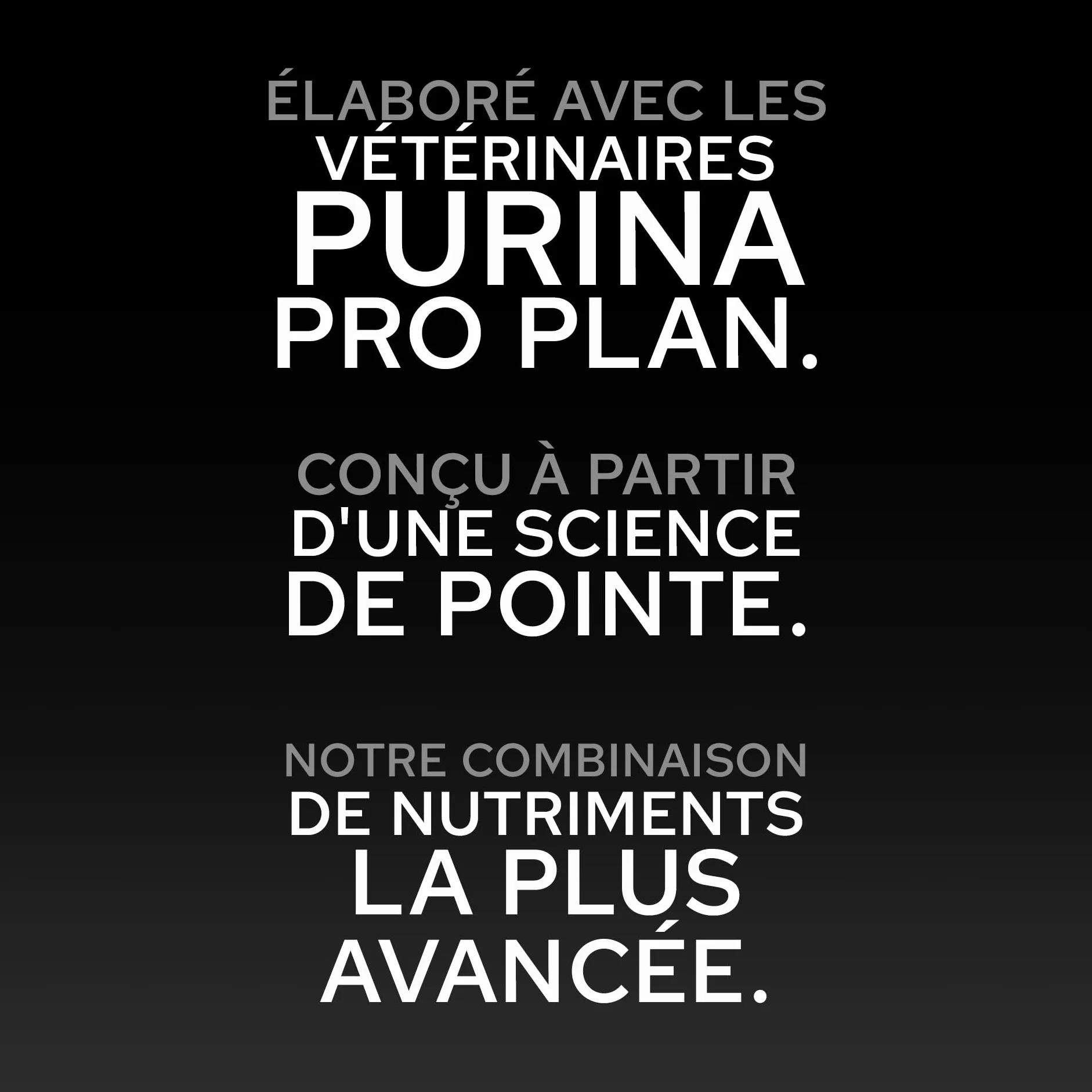 PURINA PRO PLAN Croquettes pour Chiot de moyenne taille Riche en Poulet et Colostrum Sac de 12 kg