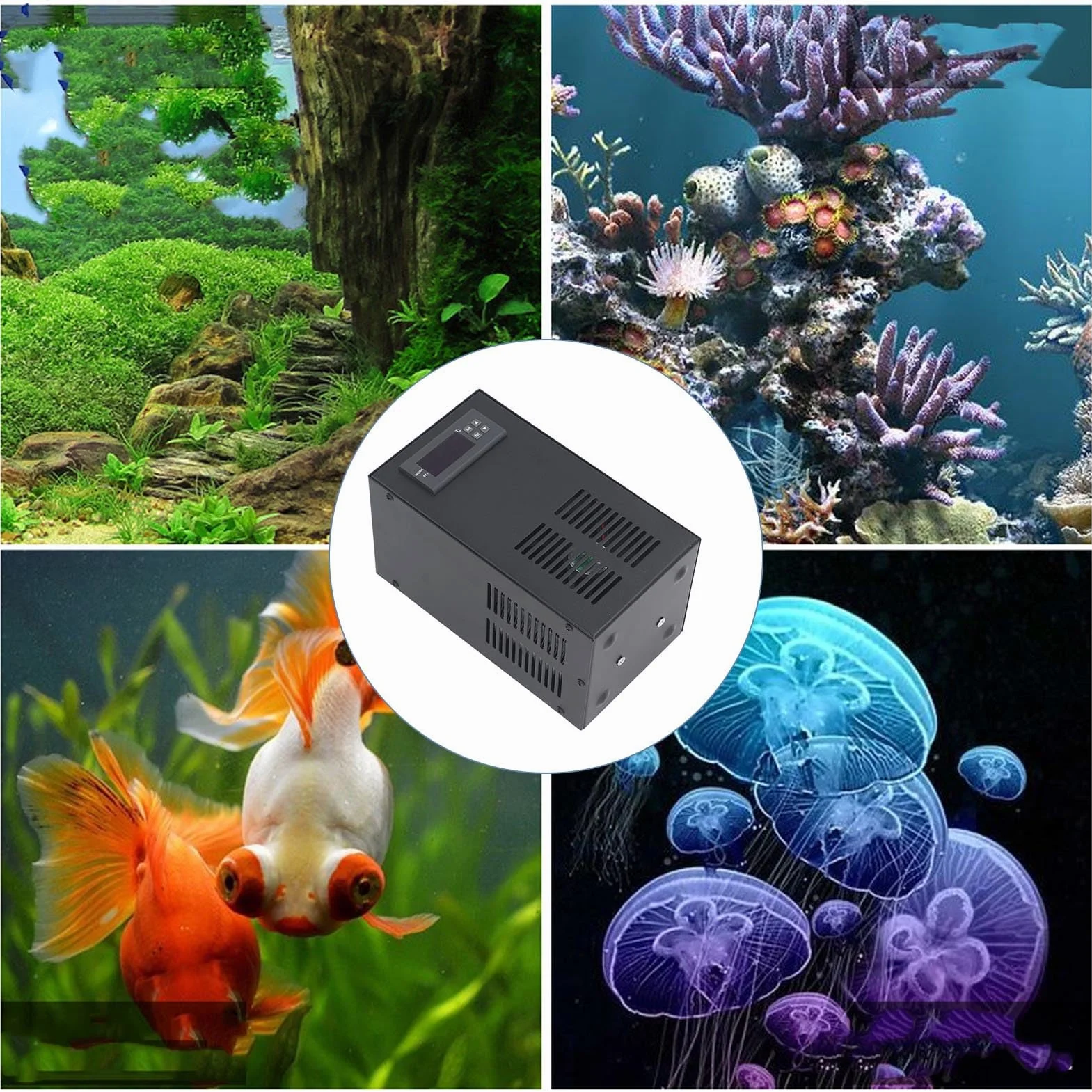 Refroidisseur d'eau Système de Refroidissement Silencieux 70W pour Aquarium Eau Douce et Salée R134a adapté aux Crevettes Coralliennes (Prise UE)