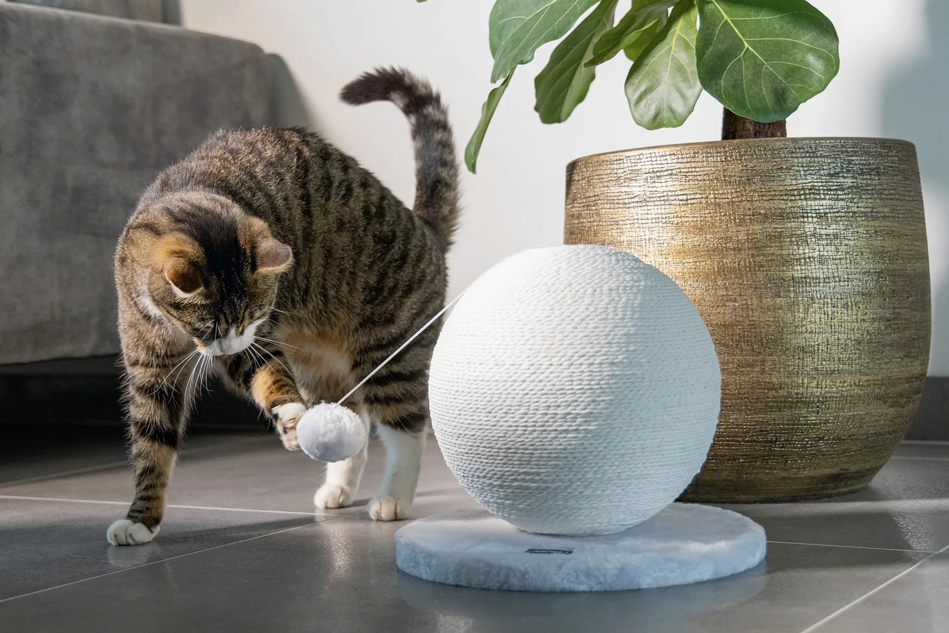 Karlie Boule à gratter pour Chat - Bolly - 30,5 x 30,5 x 28 cm - Blanc
