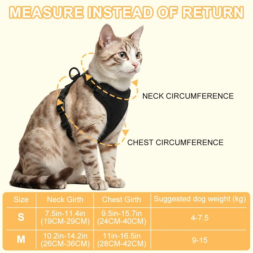 Aolso Harnais pour Chat Anti-éclatement Filet Respirant Réglable Réfléchissant Laisse 150cm Noir Taille M