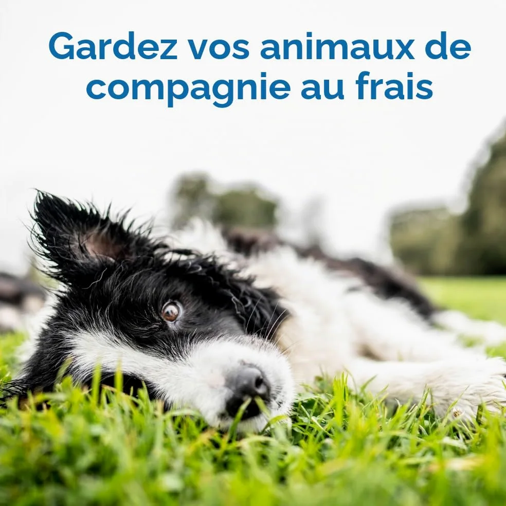 THEGREENPETSHOP - Cool Pet Pad – Tapis Auto-refroidissant, à Activation par Pression, pour Chiens et Chats de 9,5 à 20,4 kg, en Gel Non Toxique, Pas Besoin d’Eau