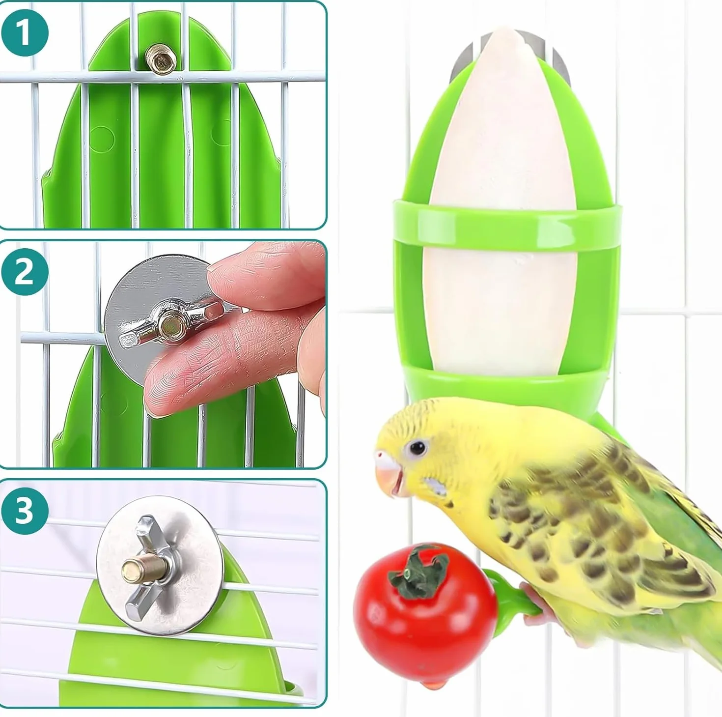 Supports pour Os de Seiche - Perche Porte-Nourriture pour Oiseaux de Compagnie