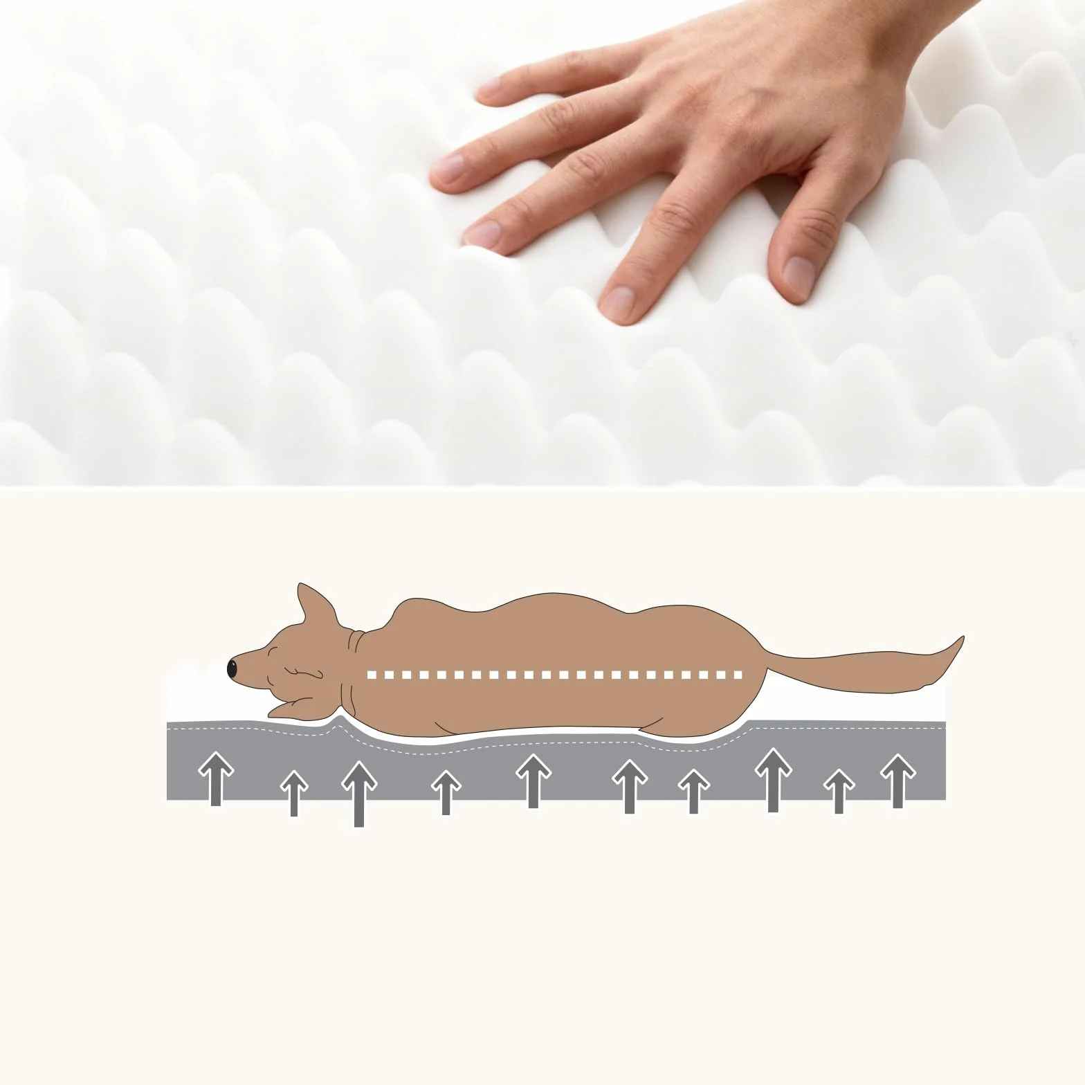 WAVVE Panier Chien Orthopédique 91x69x7.6 cm Lavable Imperméable Coussin Gris
