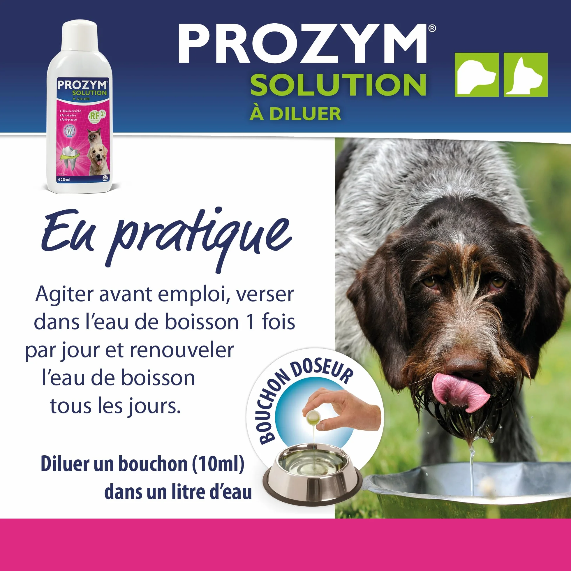 PROZYM Lot de 2 Solutions Dentaires pour Chiens et Chats Anti-tartre Anti-Plaque Haleine fraîche