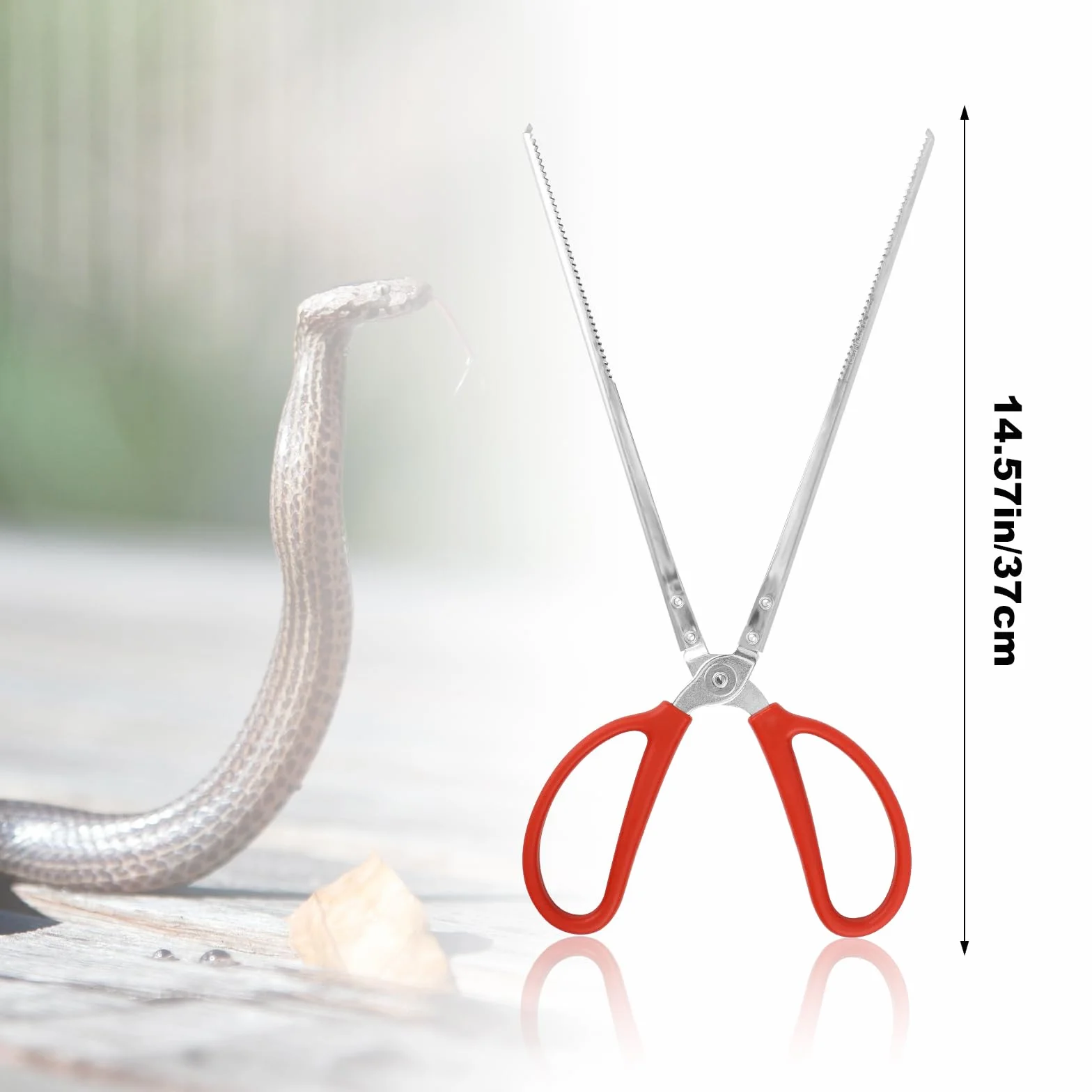 Pince à Nourriture Reptile 37cm Antidérapants pour Serpent Python