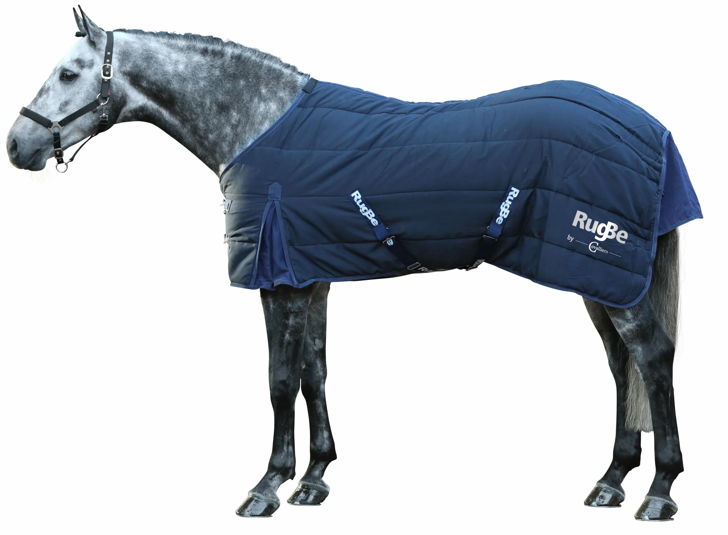 Covalliero Couverture RugBe Indoor Bleu 115 cm