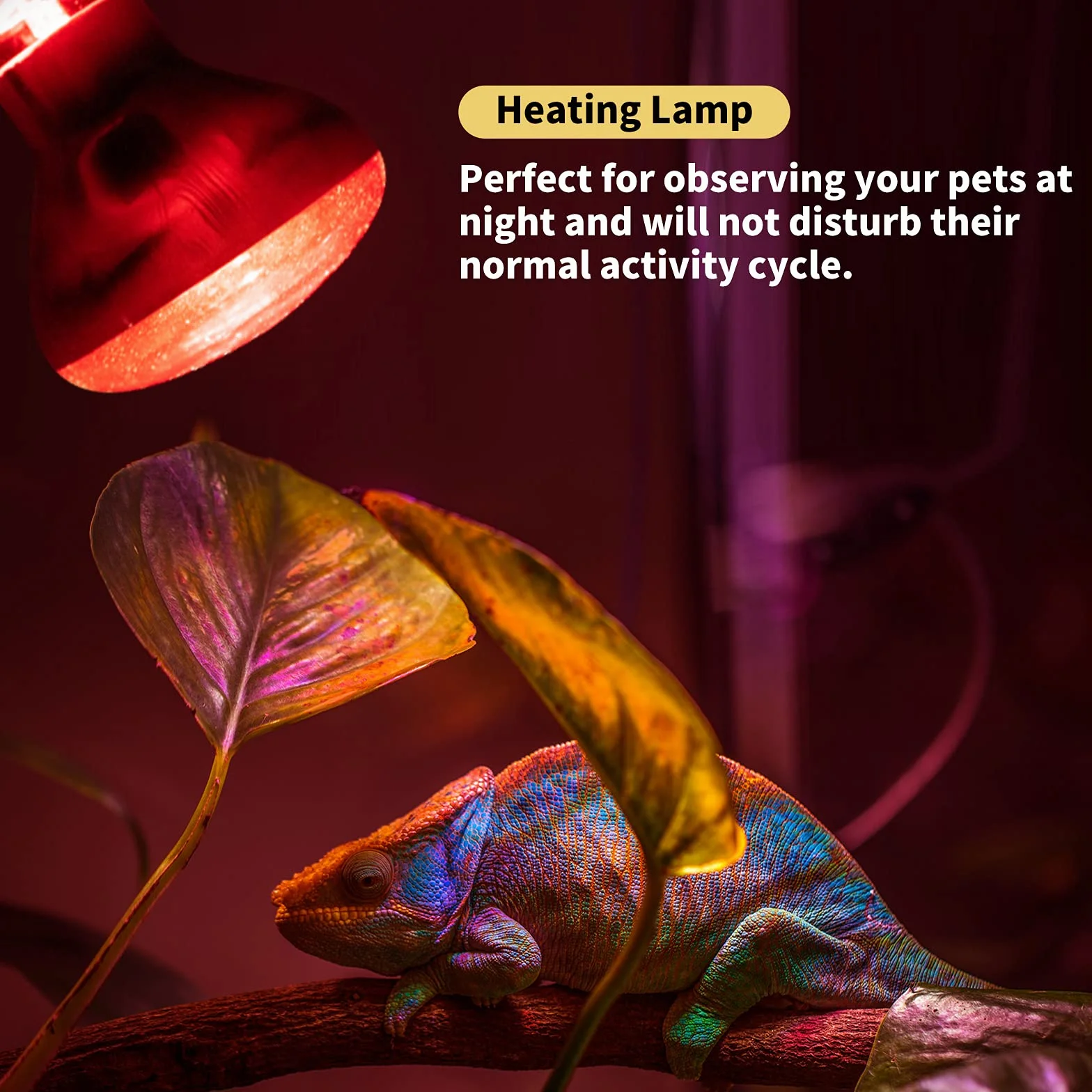 Bonlux 50W Lampe Chauffante Infrarouge Dimmable E27 R63 UVA+UVB AC 220-240V pour Reptiles (2Pcs)