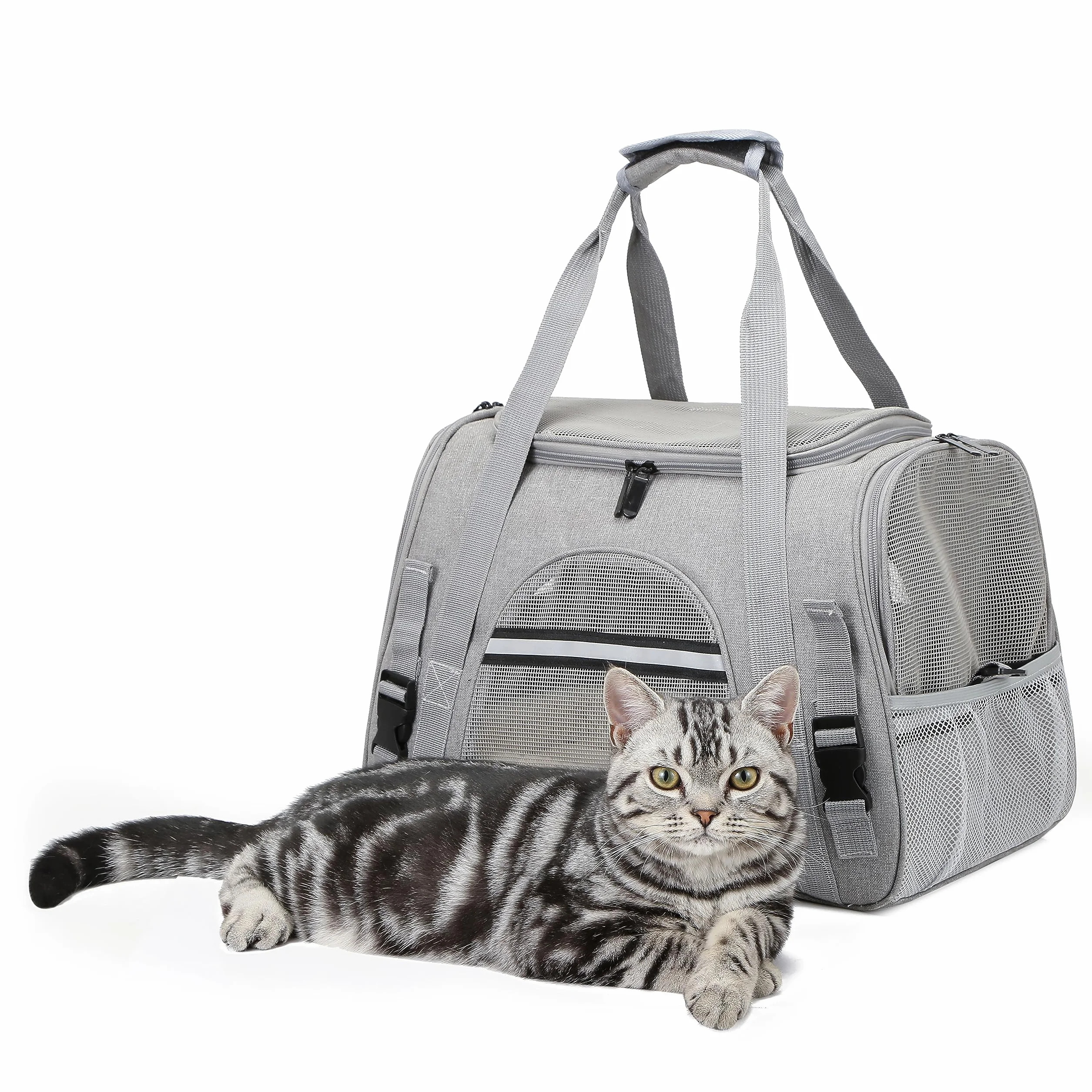 Sac Transport Chat Chien Respirant Pliable Caisse avec Bandoulière Réglable Matelas en Peluche Amovible