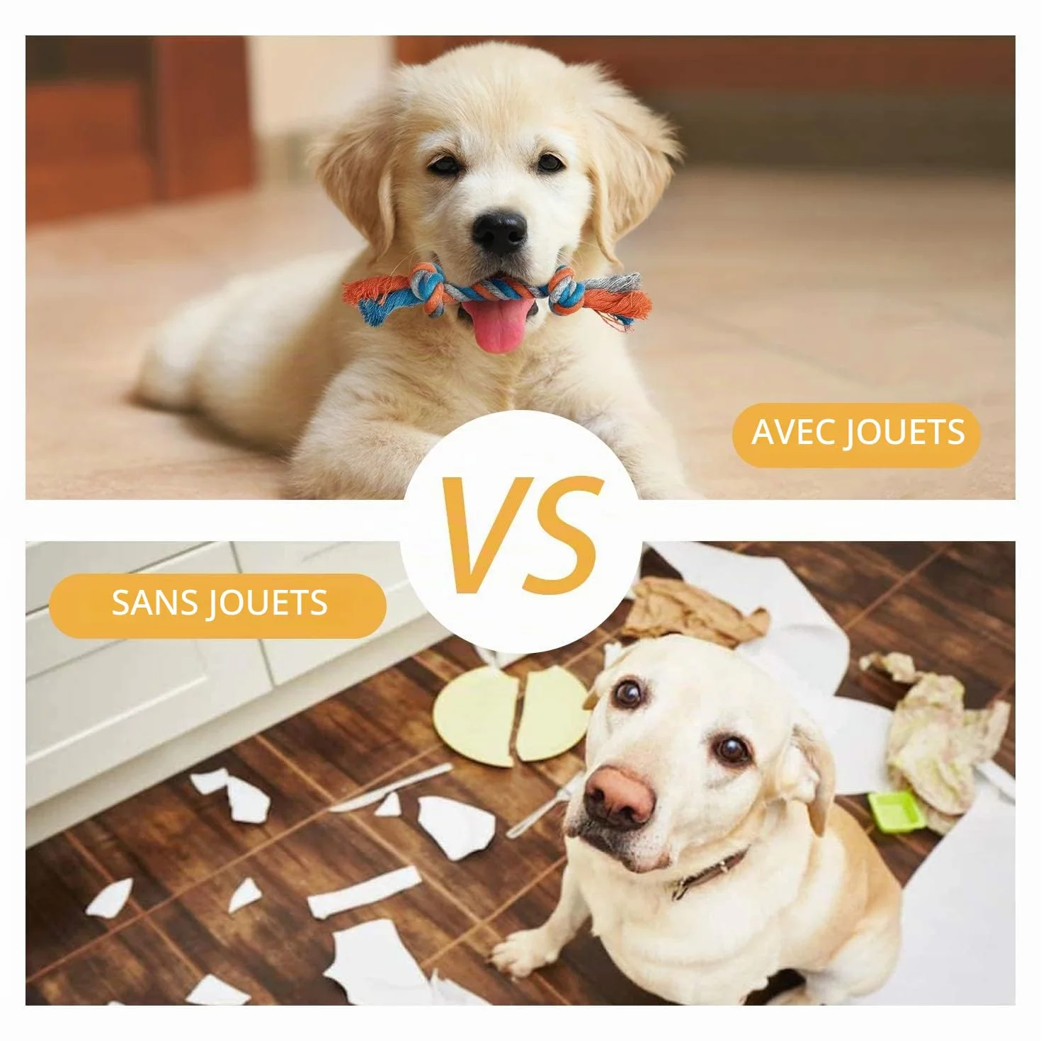 Toozey Jouet pour Chien 7 Jouets Durables Chiots Petits Chiens Peluche Non Toxique Coton Naturel