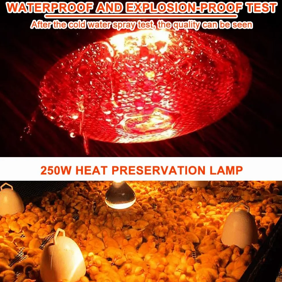 Lampe Chauffante Reptile 250W E27 Ampoule Infrarouge pour Tortue Serpent Hamster