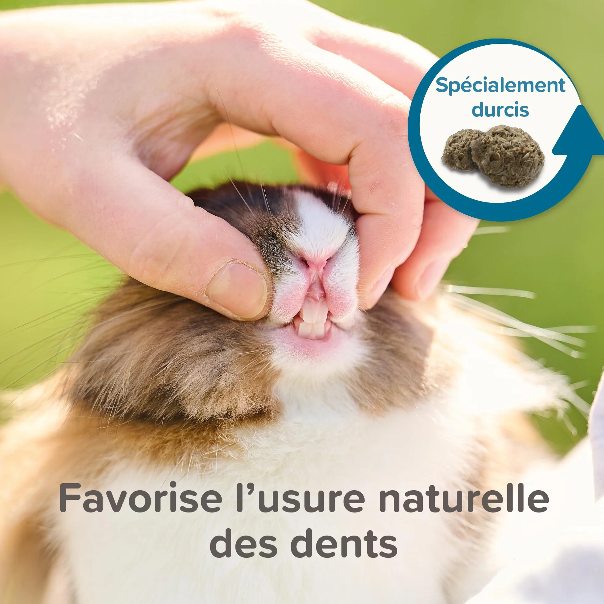 BEAPHAR Care+ Alimentation Super Premium Lapin sénior 25% Fibres Oméga 3 & 6 Faible Glucides Matières Grasses 1,5 kg