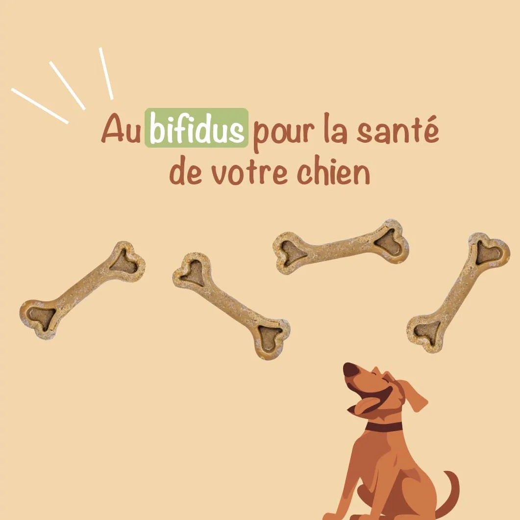 Malou NONO'S Friandise pour Chien Bâtonnets à Macher Bifidus Longue Mastication 14 pièces