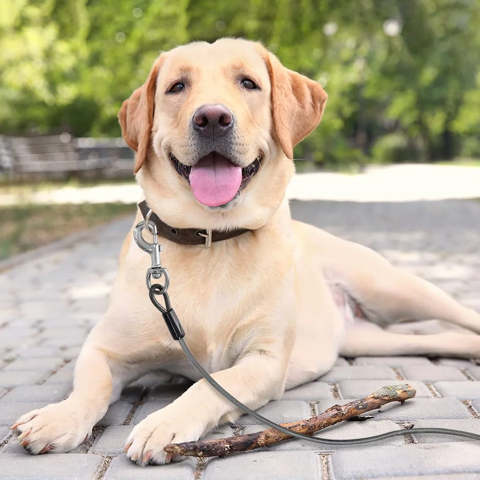 Câble d'attache pour Chien 7,6 m 113,4 kg Réfléchissant Antirouille Clips Pivotants Dégagement Rapide Gris