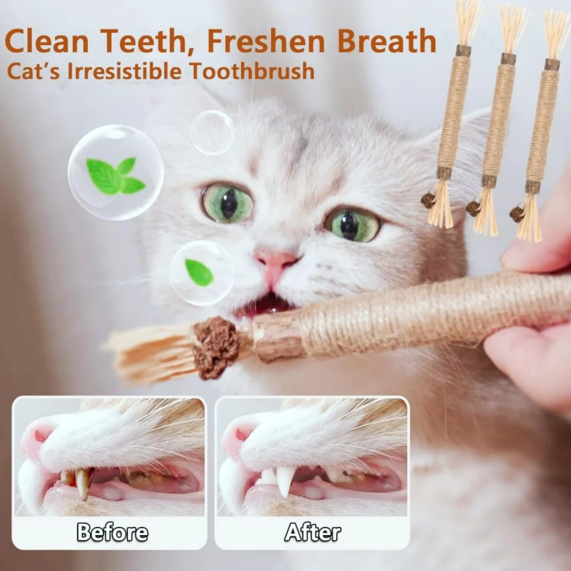 Bâtonnets Herbe à Chat Naturels 6 Pièces Jouet Interactif Nettoyage des Dents Anti-Tartre