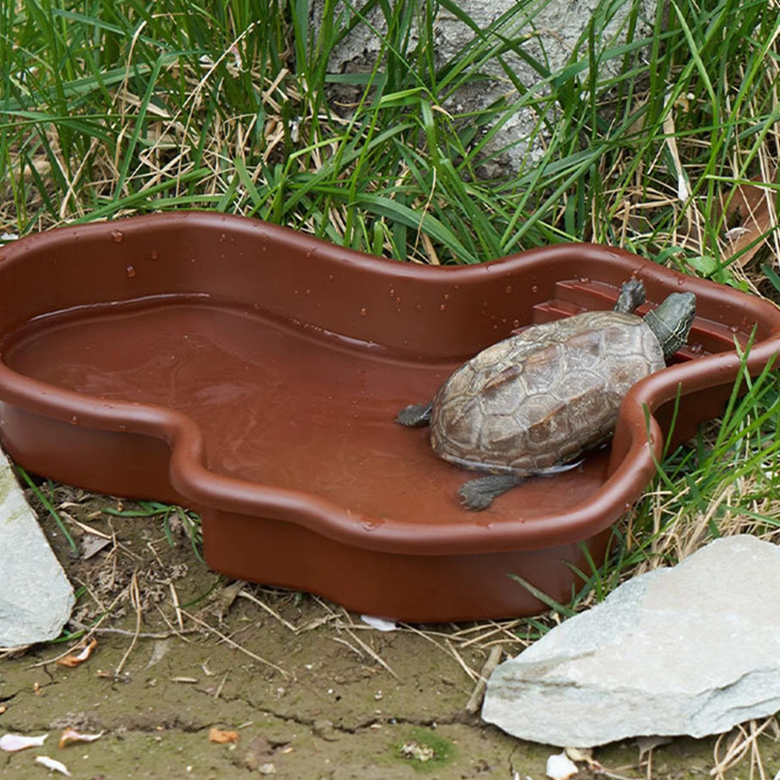 Baignoire Reptiles ABS avec Rampe, Grande Piscine Bain Tortue, Plat Alimentation Antidérapant, Ornement Aquarium Tortue