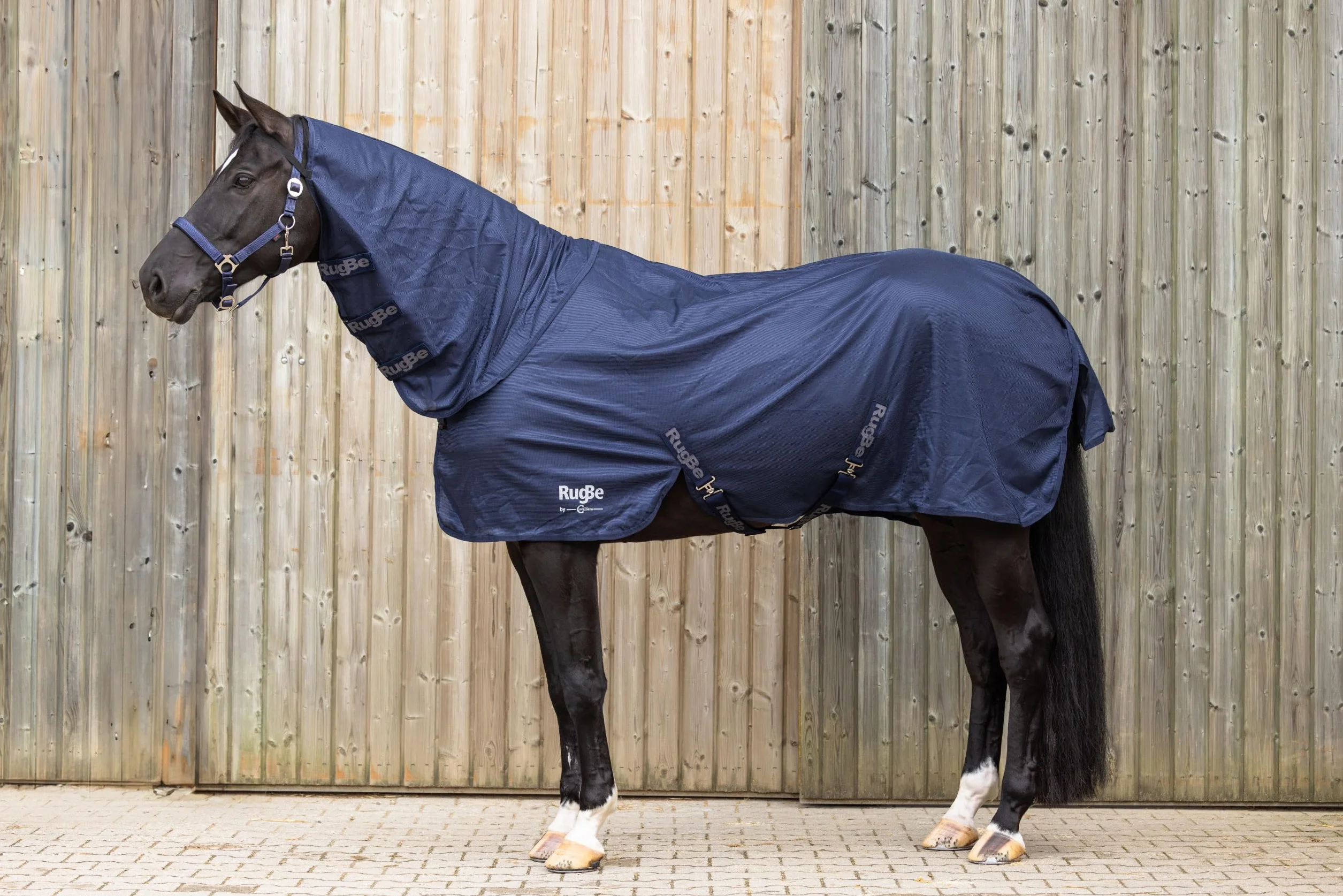 Covalliero Couverture Anti-Mouches RugBe Superfly 155 cm 205 cm Cheval