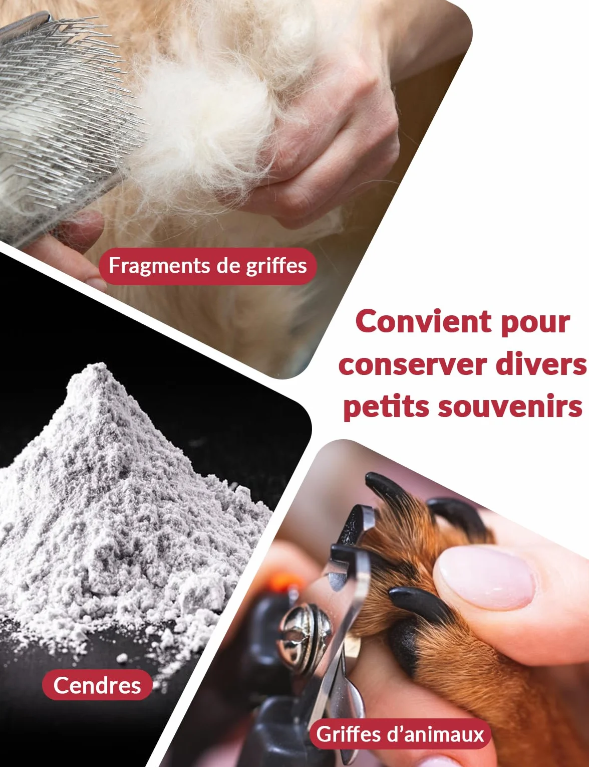 Pendentif Collier Urne Personnalisé Cendres Animal Compagnie Photo Texte Bijou Commémoratif Chien Chat Acier Inoxydable