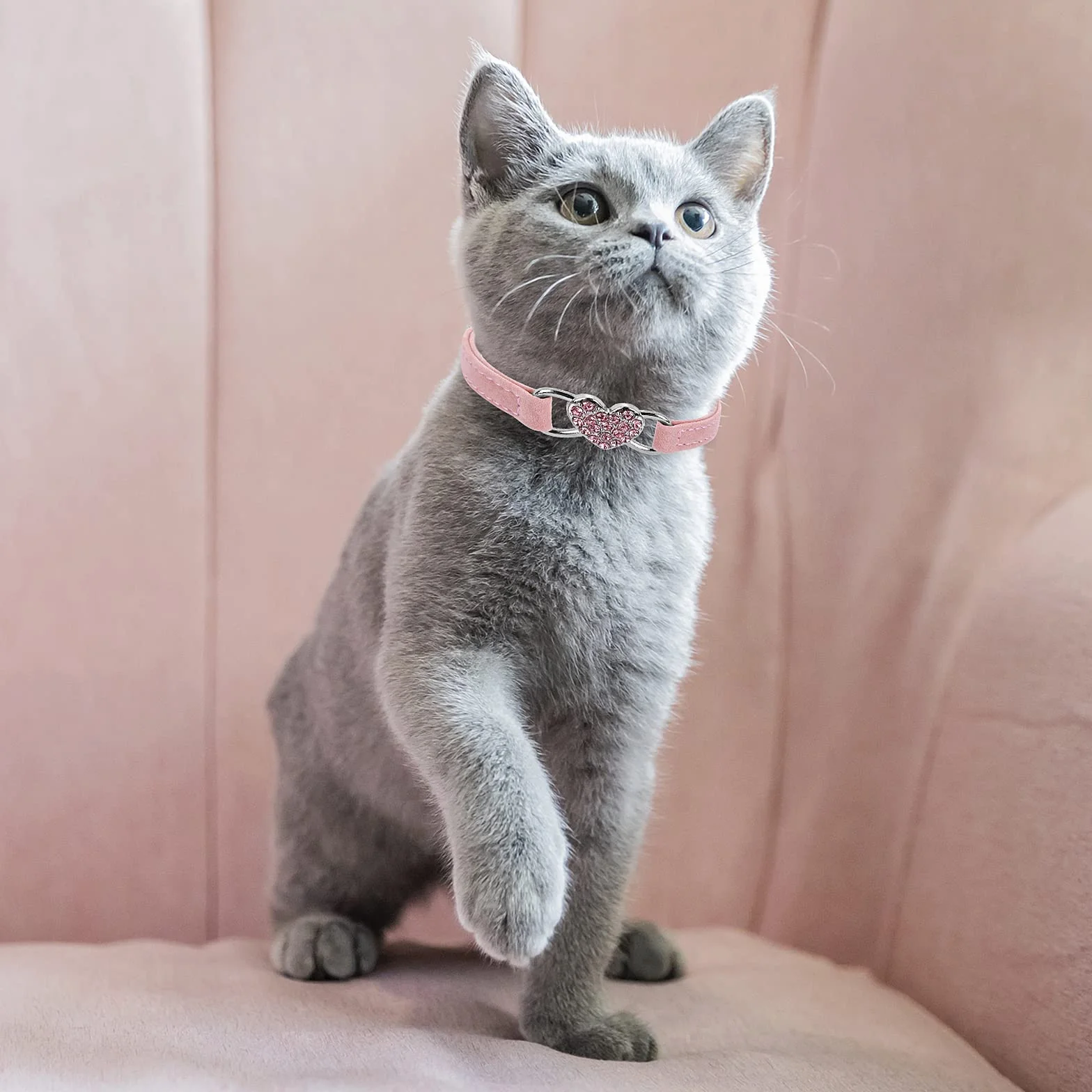 Collier de chat en forme de cœur avec clochette réglable, collier strass pour petit chien chat rose