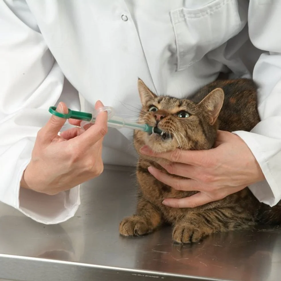 Binnan Seringue pour Chat Chien, Distributeur de Comprimés pour Animaux Domestiques
