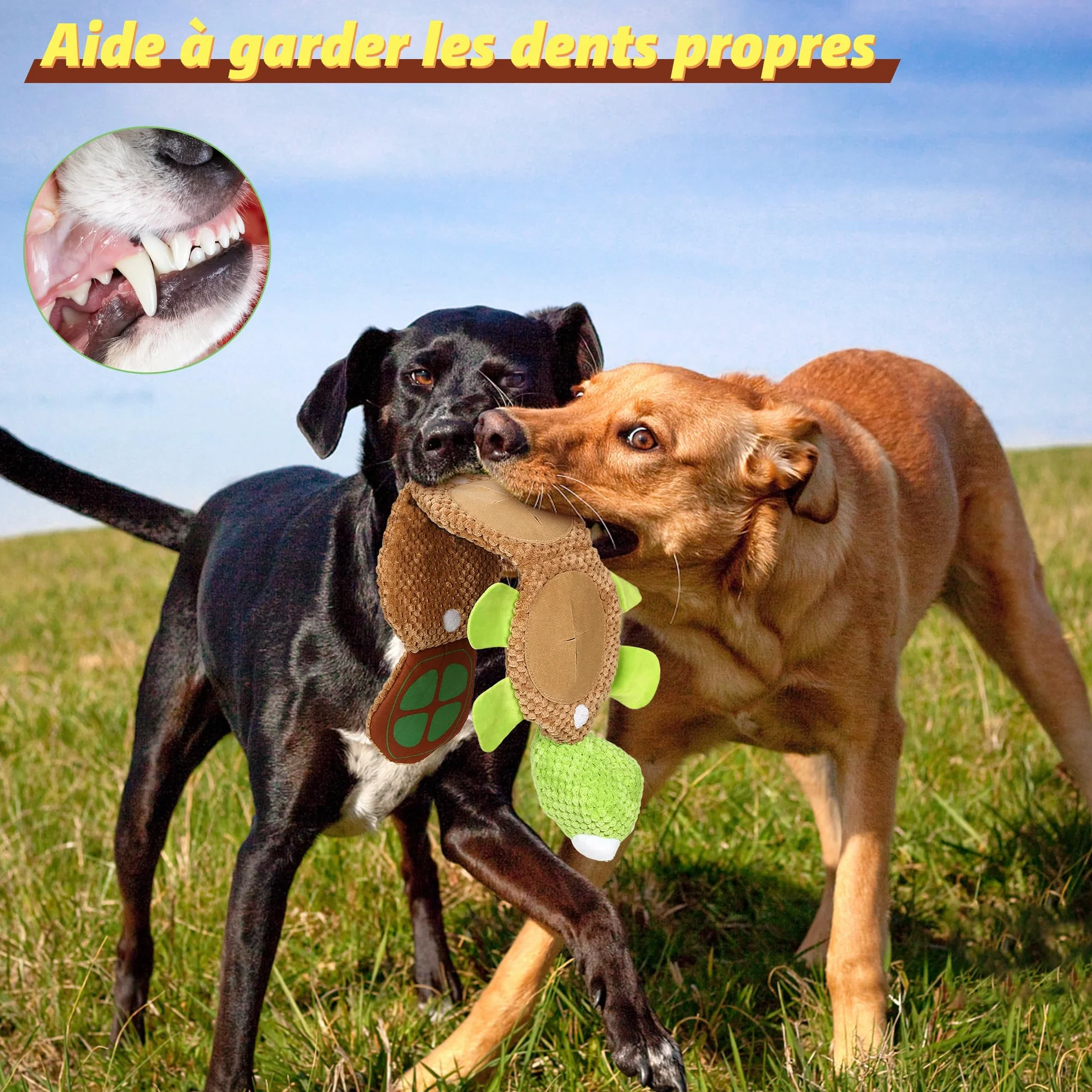 Iokheira Jouets Interactifs pour Chiens Couineurs Robustes avec Chiffon en Coton et Papier Froissé Vert Fluorescent Tortue