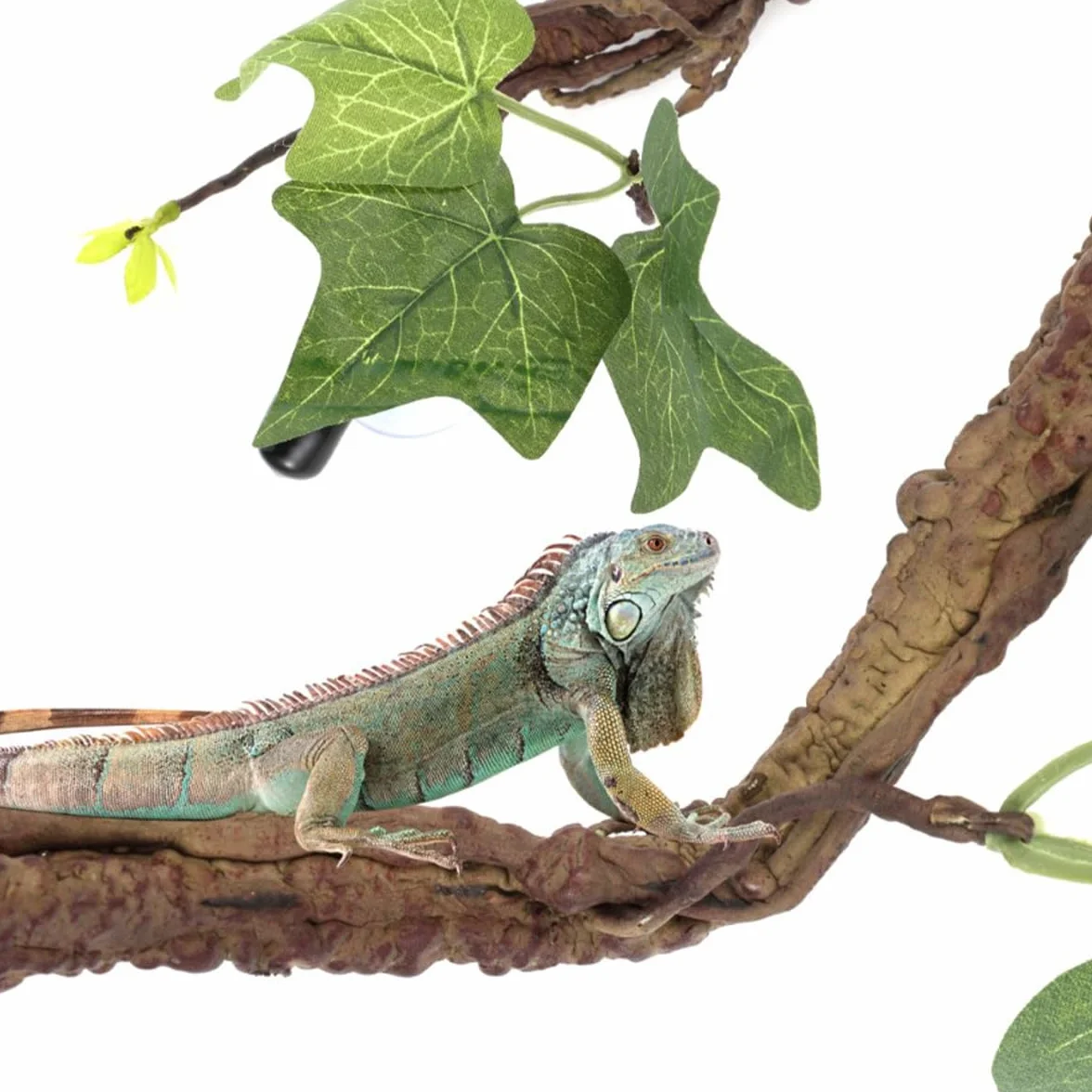 Sarini 2 pièces décorations de Plantes de Terrarium Branche Vigne Reptile Ventouse Escalade Serpent Lézard