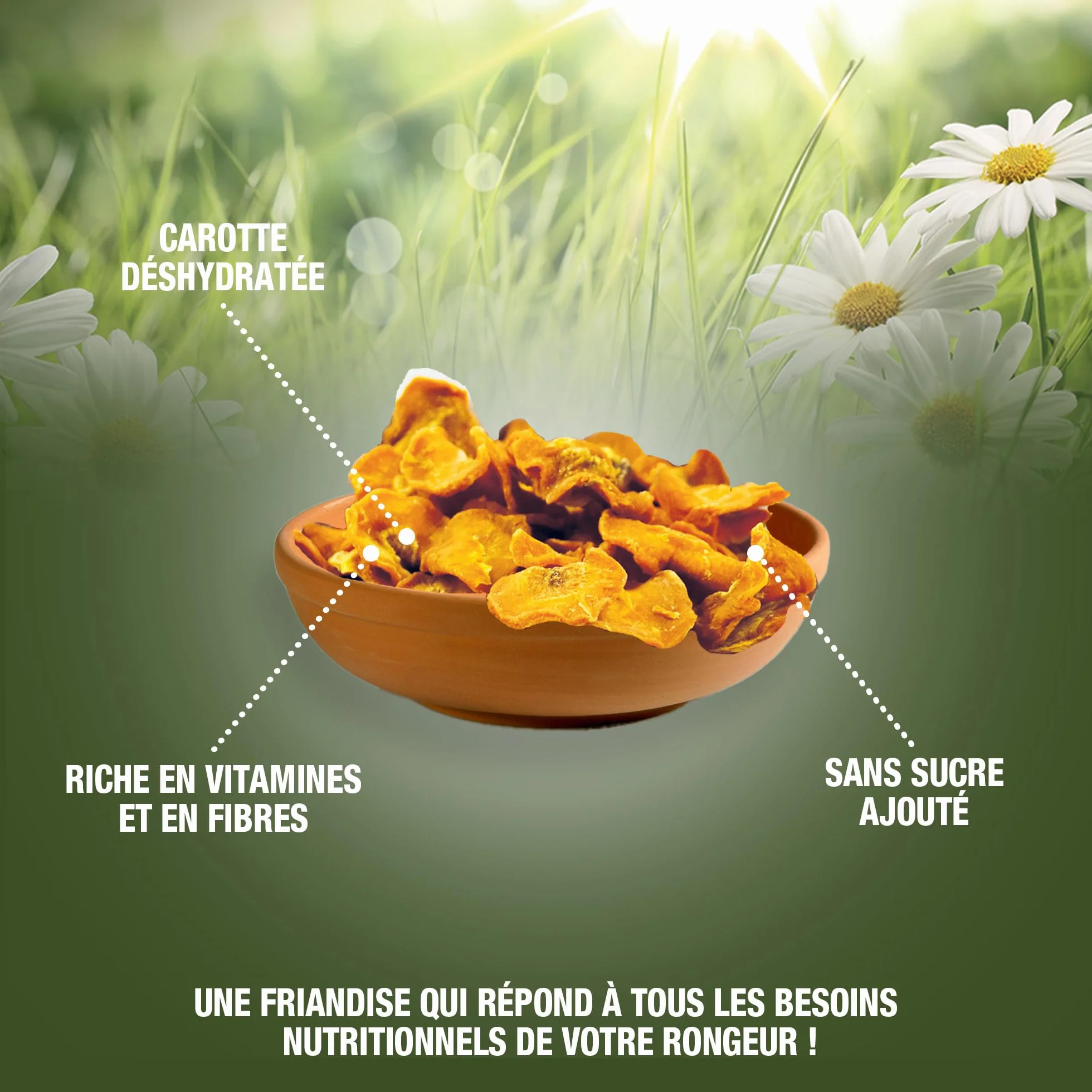 Riga Chips de Carotte Séchée Friandise Naturelle pour Rongeurs 50G