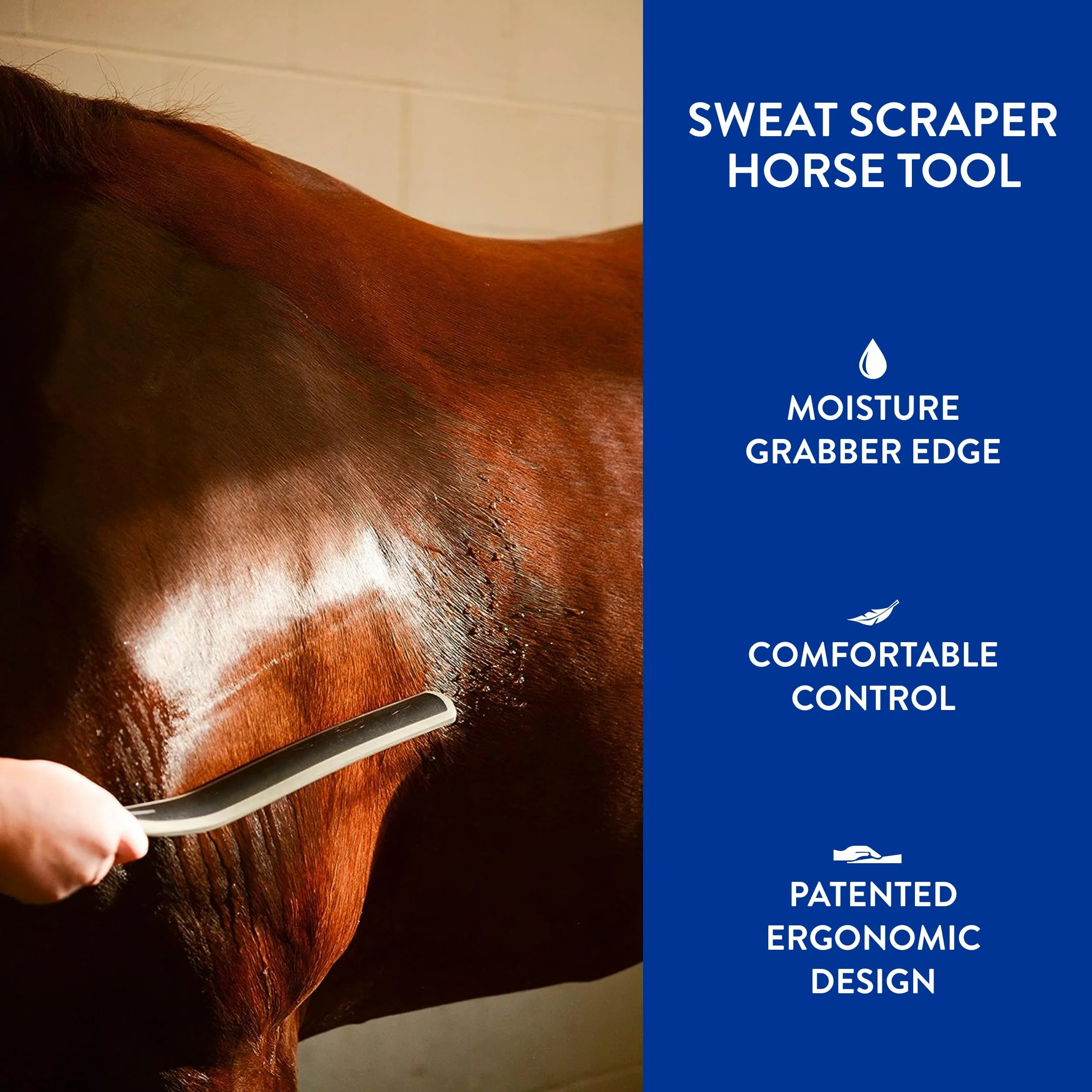 WAHL Grattoir Professionnel pour Chevaux - Noir