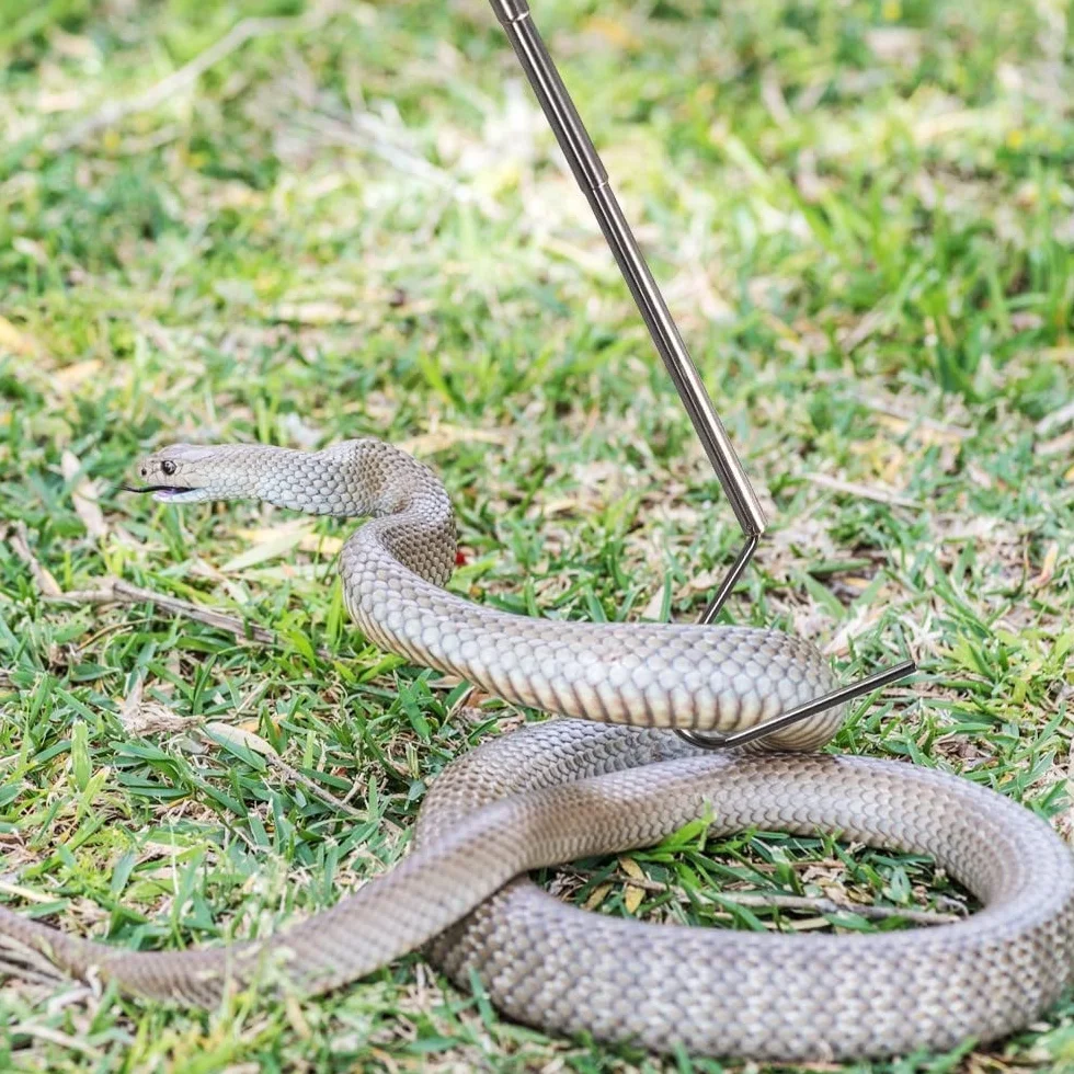 DONGKER Crochet de Serpent Pliable en Acier Inoxydable 66 cm pour Capture de Serpents Jusqu'à 0,9 Kg