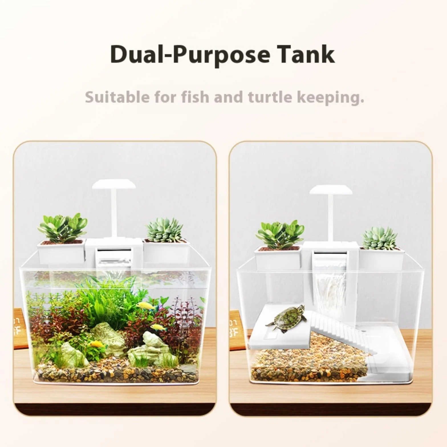 Kit d'habitat pour Tortues avec Filtre à Eau Complet et Zone Multifonction