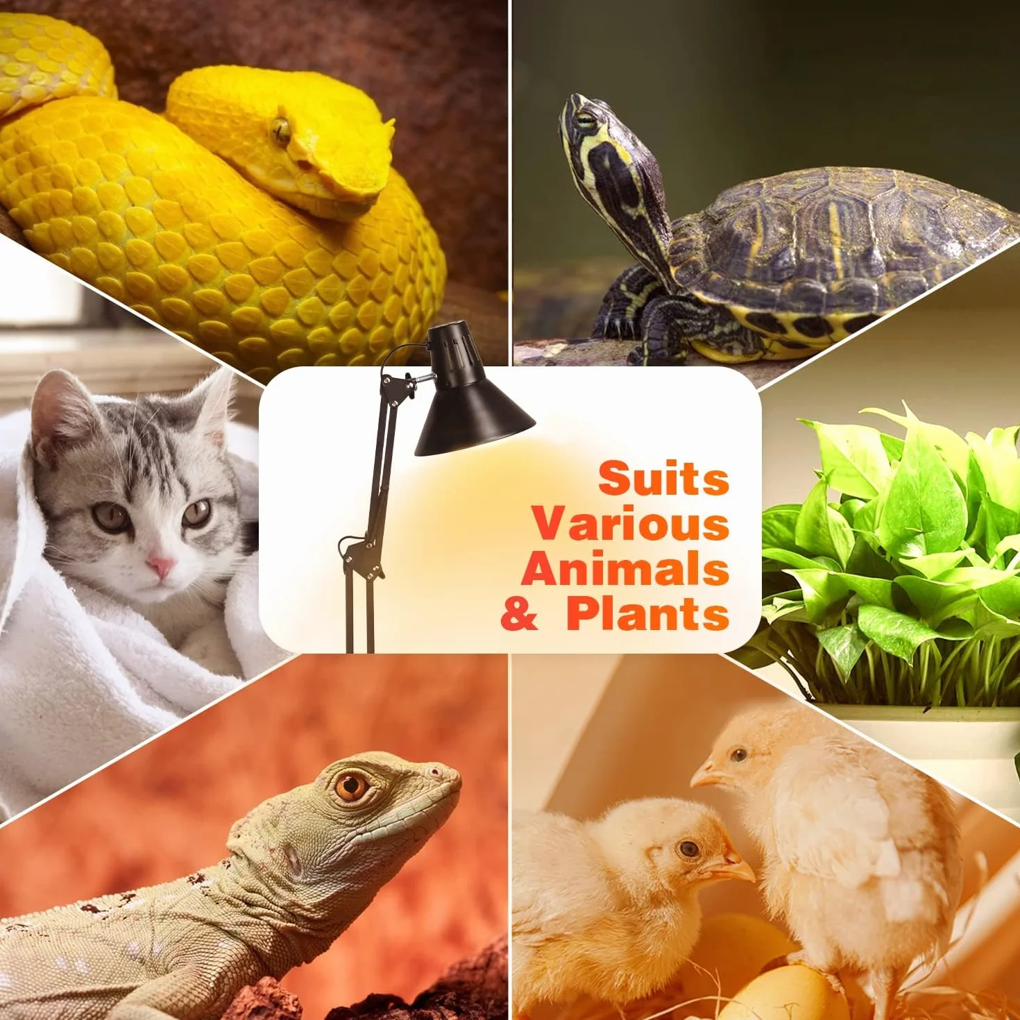 Support de lampe chauffante pour reptiles, socle extra haut, hauteur et largeur réglables, pour tortue terrarium
