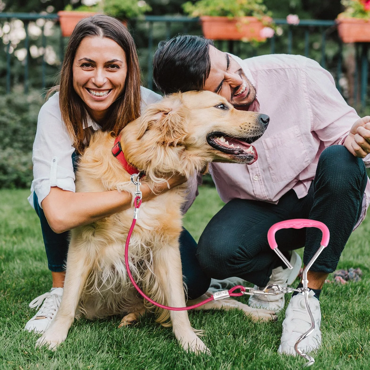 Ancrage au sol pour chien avec laisse 3 m - Kit de sécurité inoxydable pour grands chiens