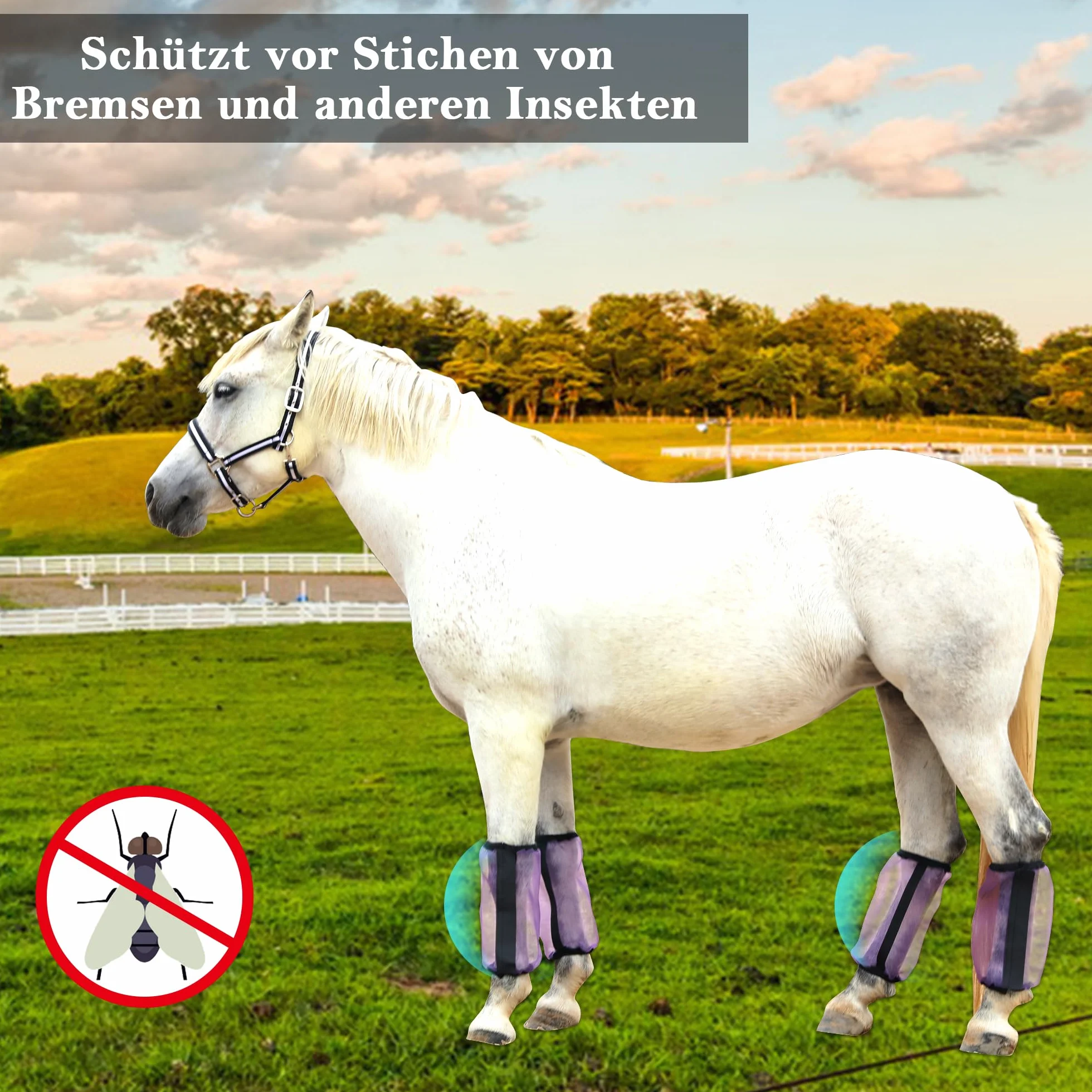 Lot de 4 bottes anti-mouches pour chevaux - Coupe ample - Respirantes - Mailles fines