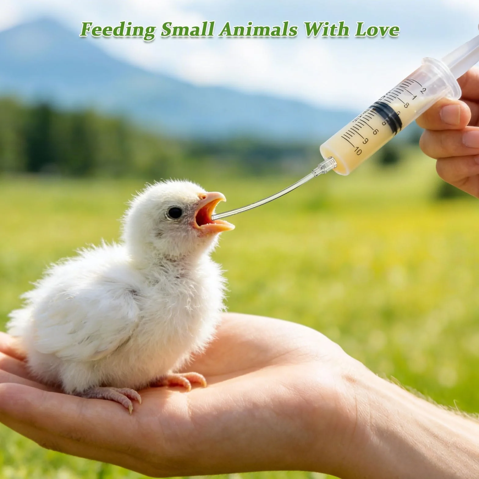 Seringue avec Tuyau d'Alimentation 10ml pour Jeunes Oiseaux Perroquets