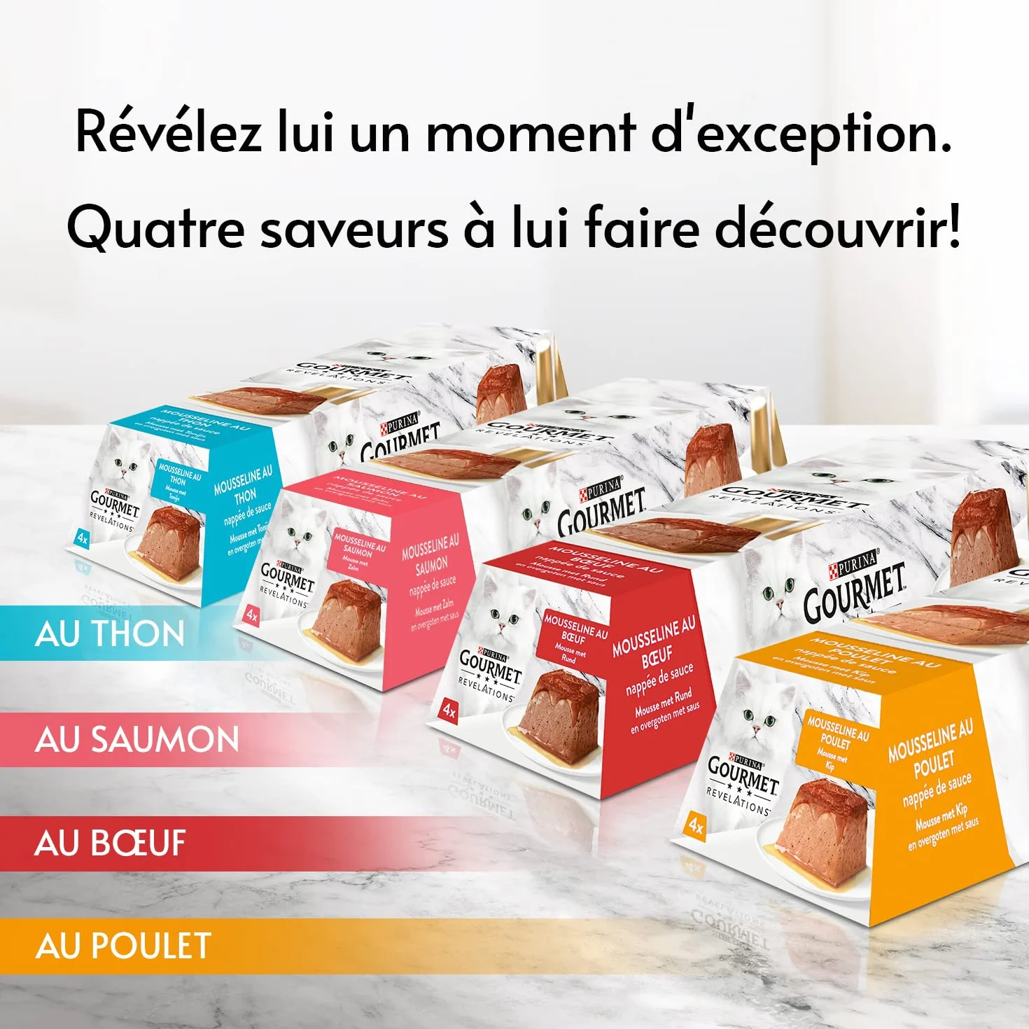 Gourmet Revelations Mousseline Thon Saumon 48x57g