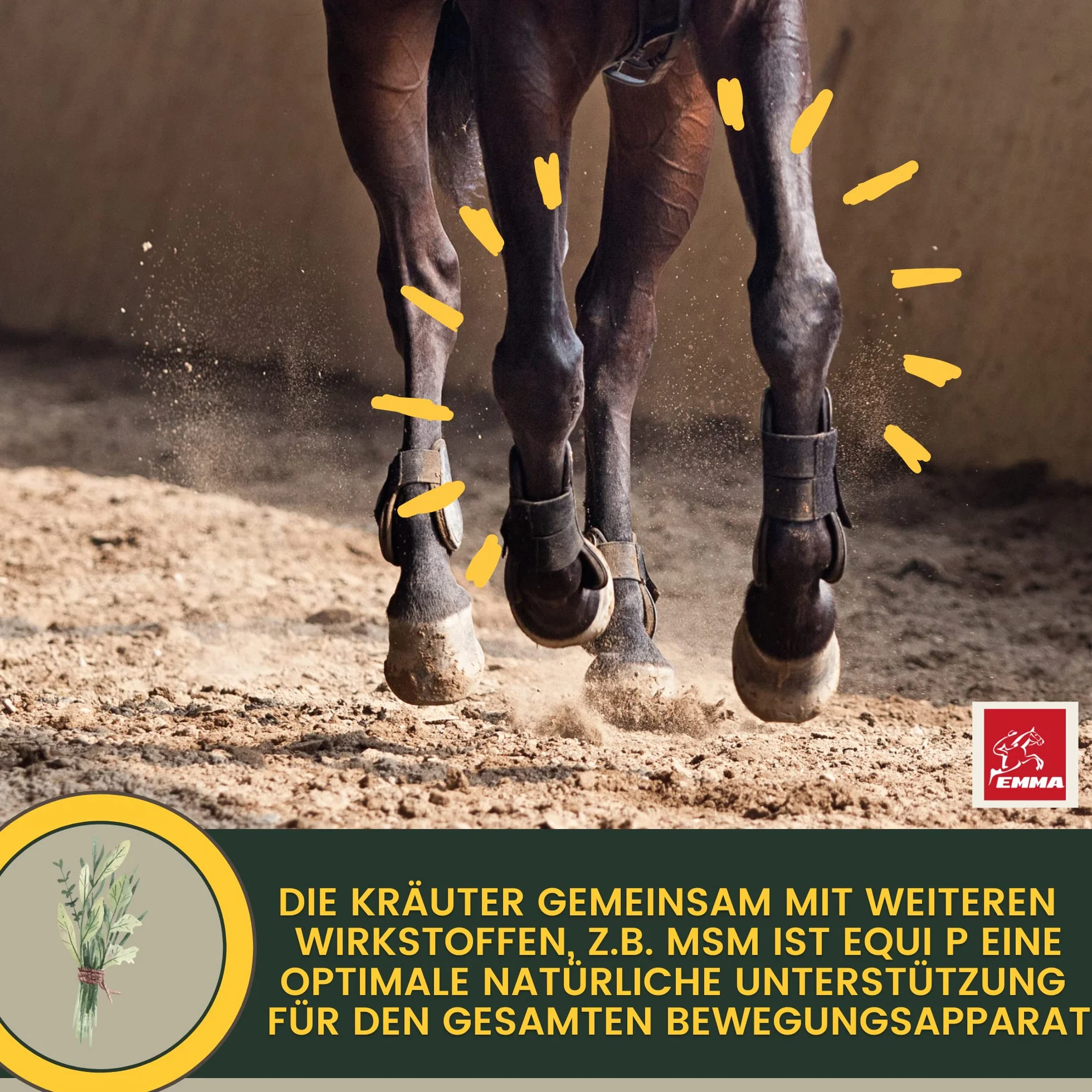 Pâte vitaminée cheval glucosamine chondroïtine haute dose appareil locomoteur articulations tendons ligaments
