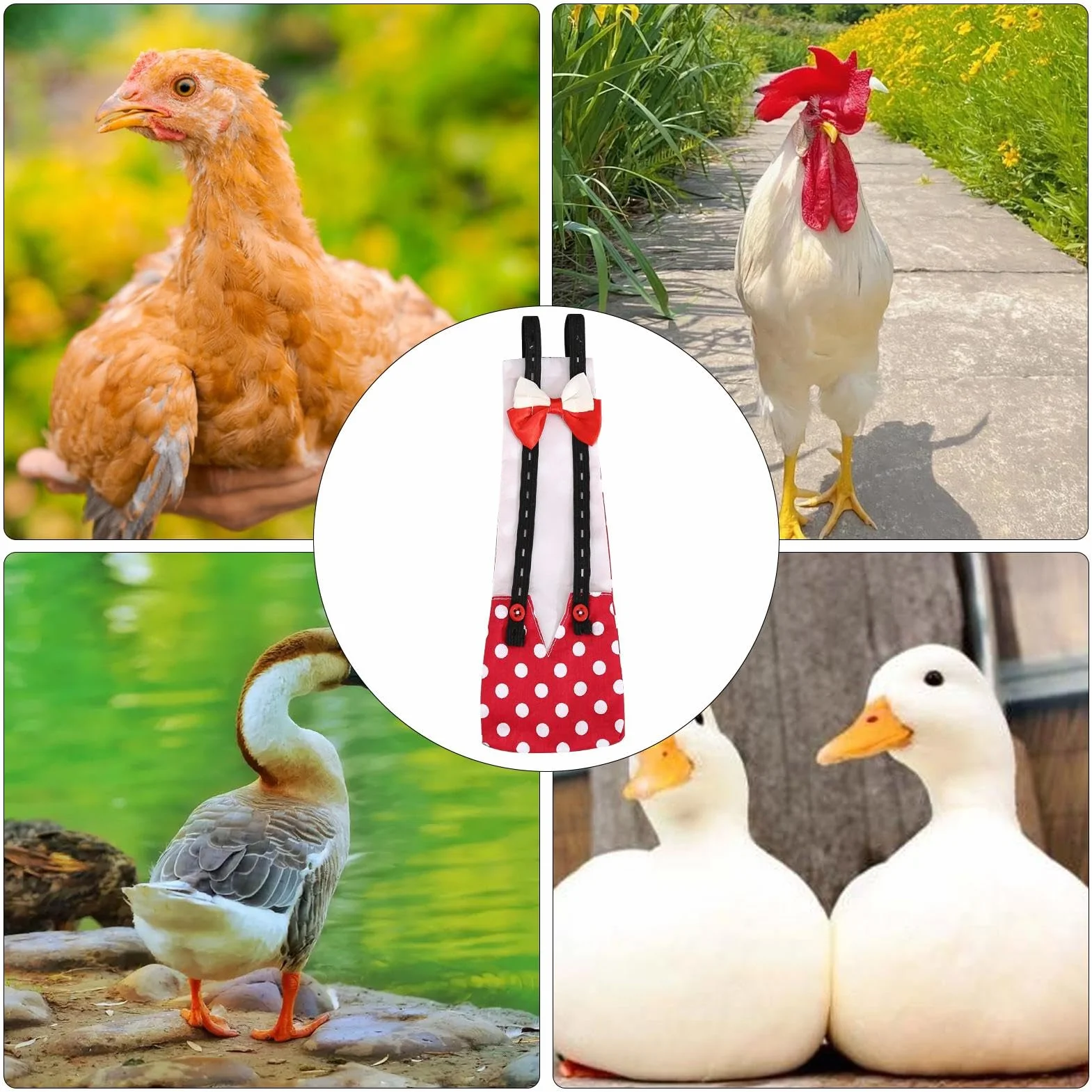 Couches pour Canards et Poules - Couches Réutilisables pour Volailles avec Nœud Papillon