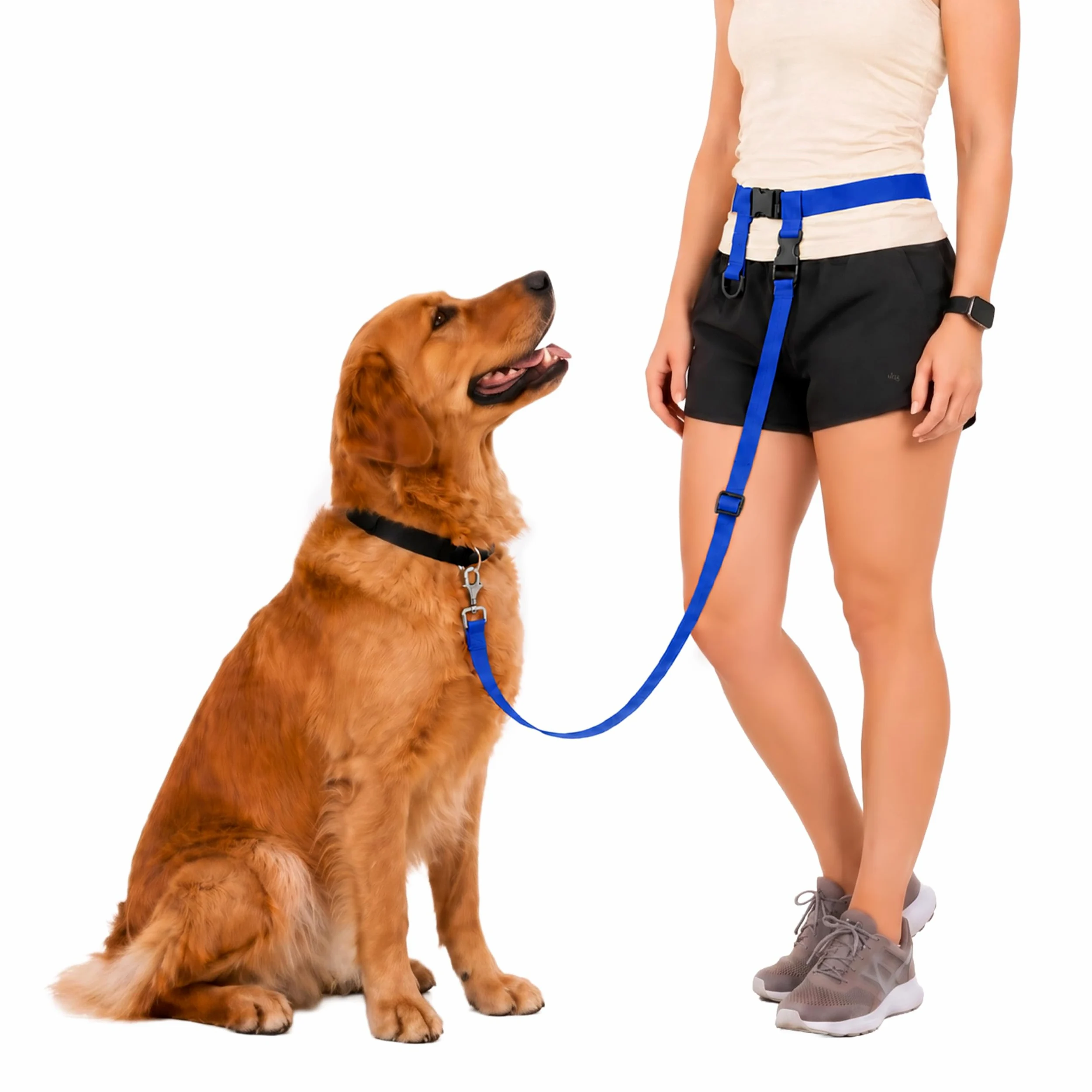 Le système de Buddy – Réglable Laisse les mains libres – Idéal pour la course à pied – pour chien standard