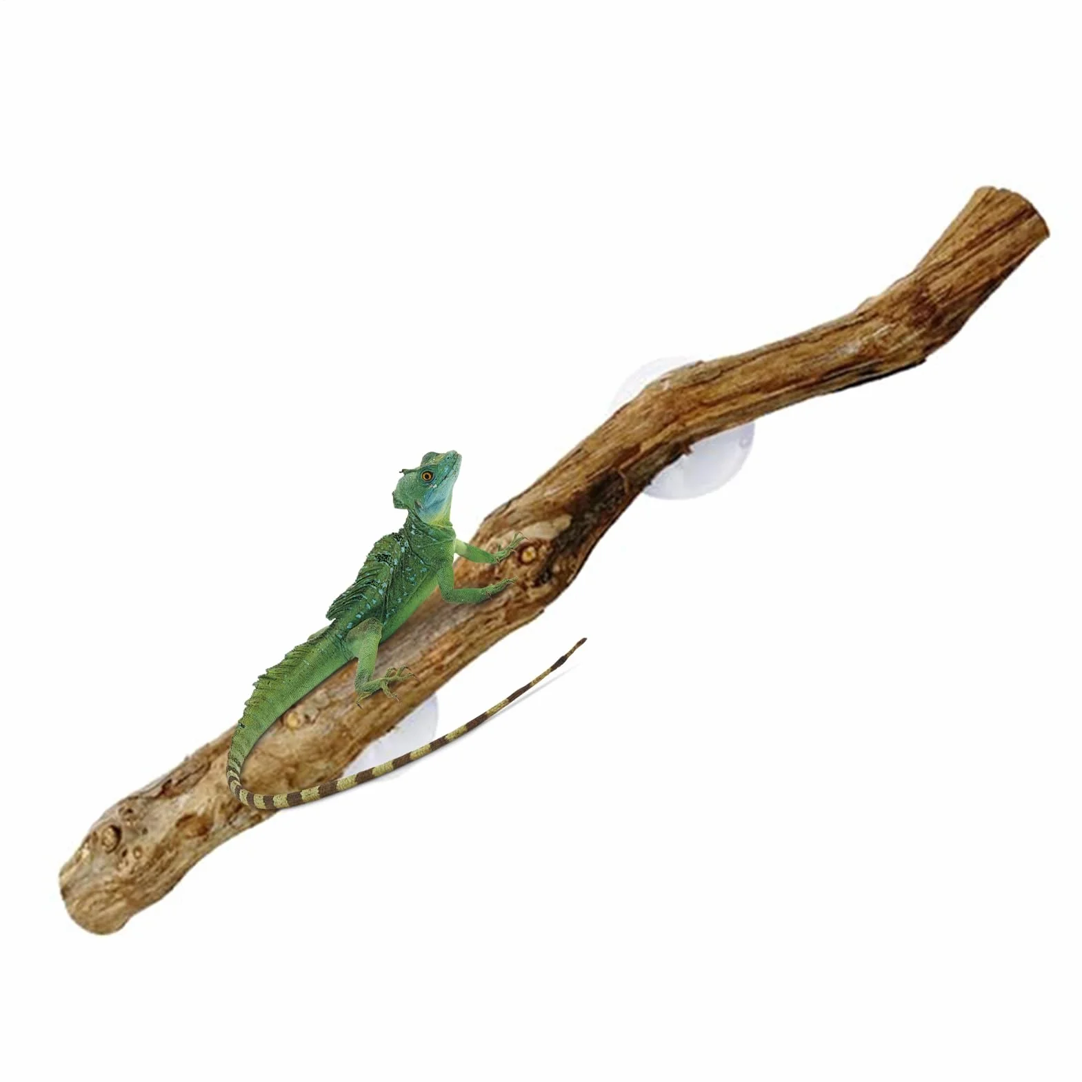 Branches d'escalade pour reptiles 30 cm Tronc d'arbre en bois naturel Décoration terrarium Antidérapant Lézard Serpent Gecko
