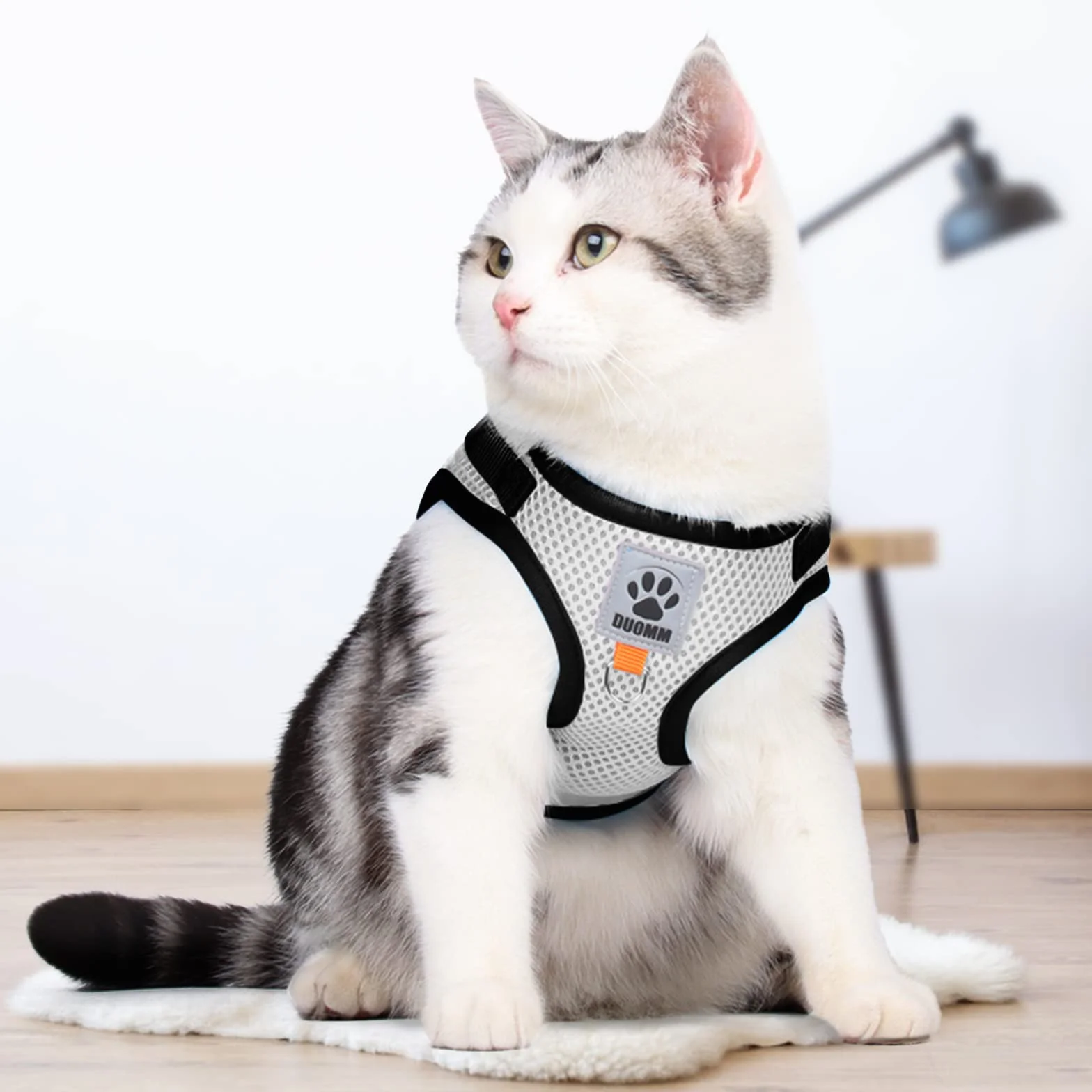 Harnais Chat Anti-évasion Réfléchissant Réglable Gilet Respirant pour Chat et Petit Chien