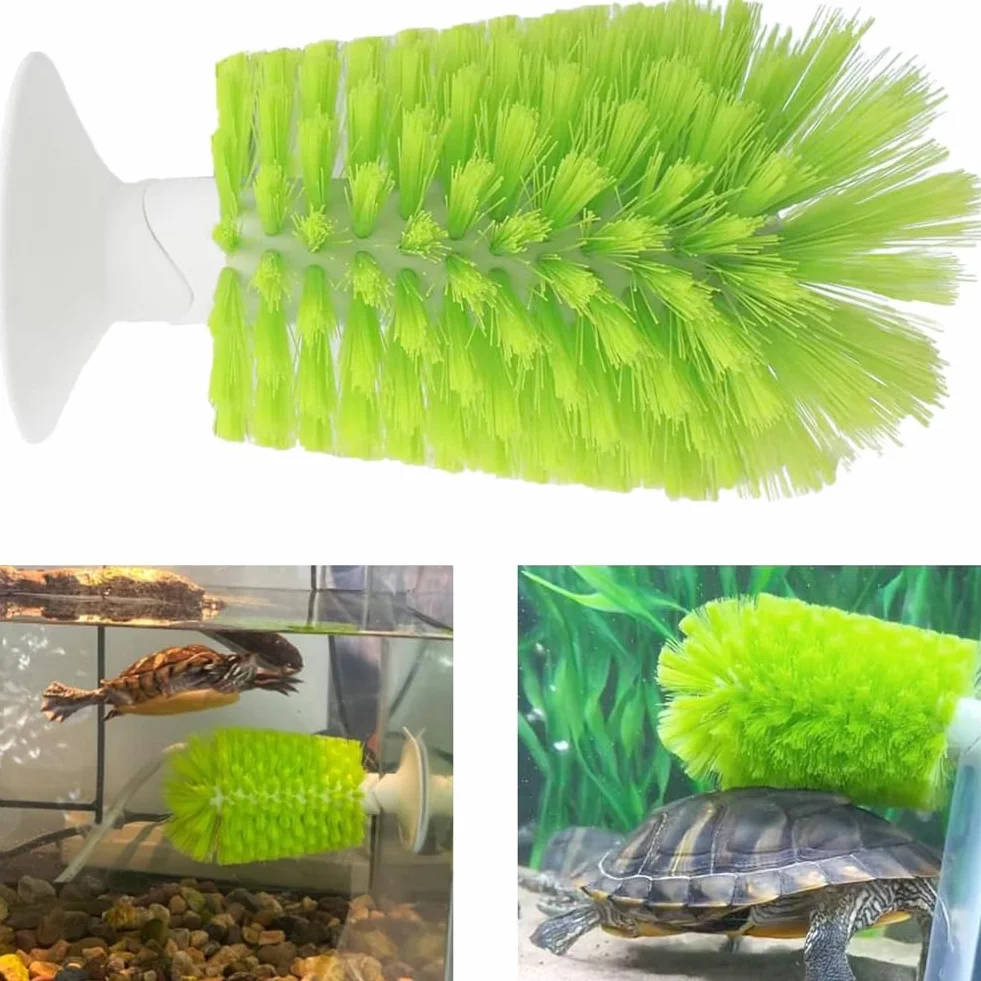 Brosses à tortue ventouse lot de 2 exfoliante rayures dos coquille écailles