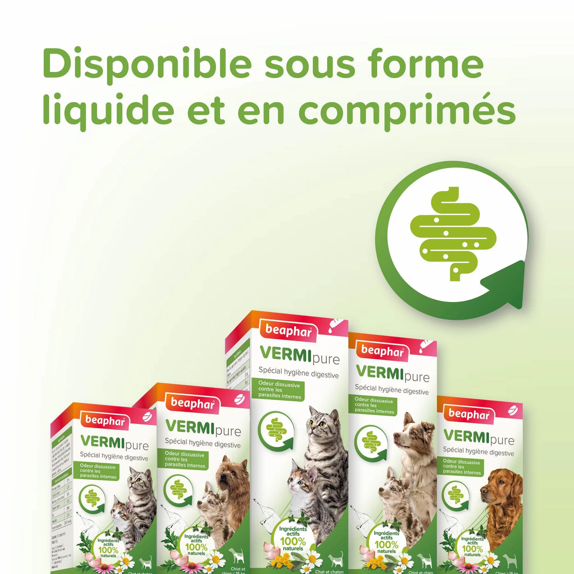 BEAPHAR VERMIPURE Solution liquide pour Chat 50 ml Ingrédients naturels Hygiène digestive