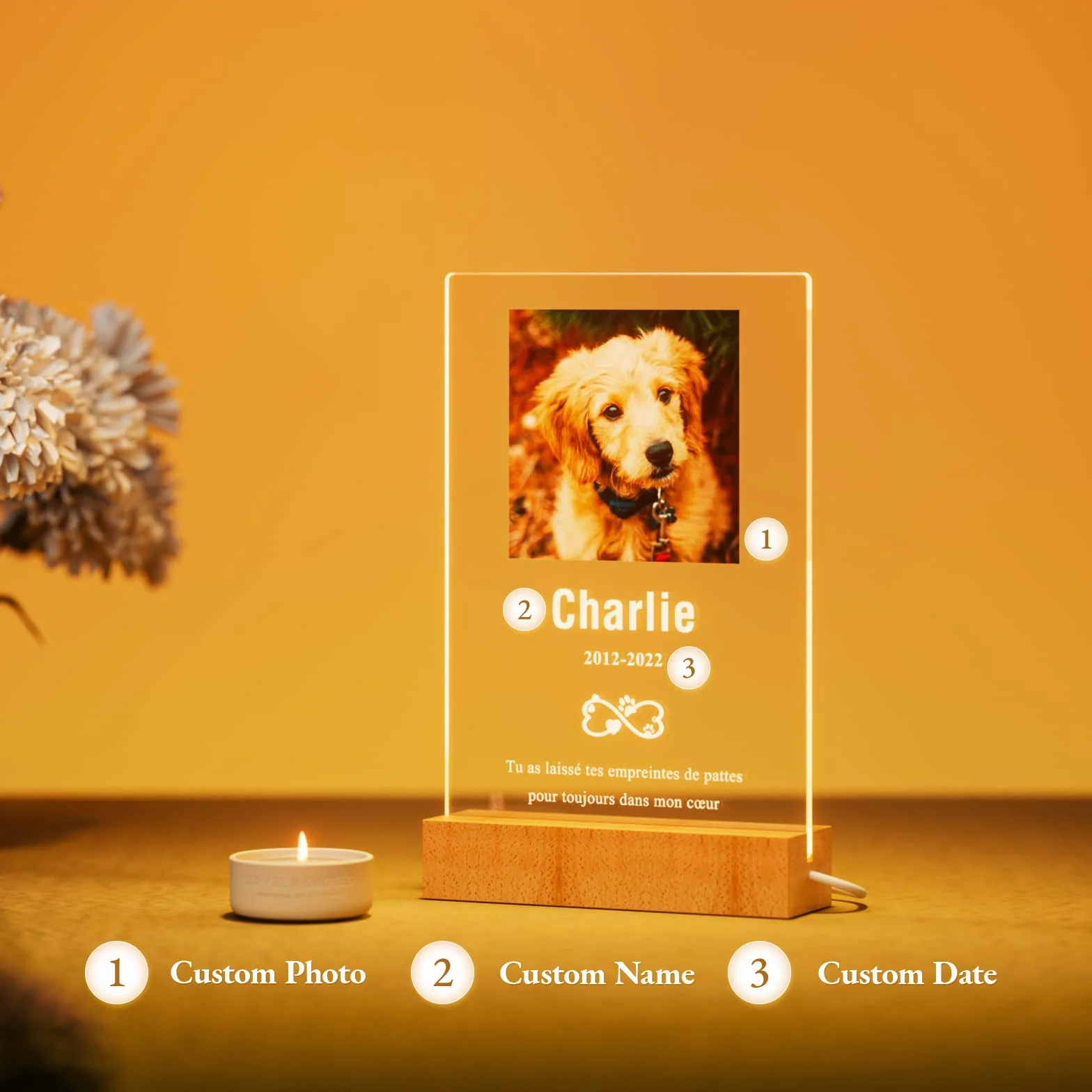 Plaque Commémorative Personnalisée pour Chien Décédé avec Cadre Photo