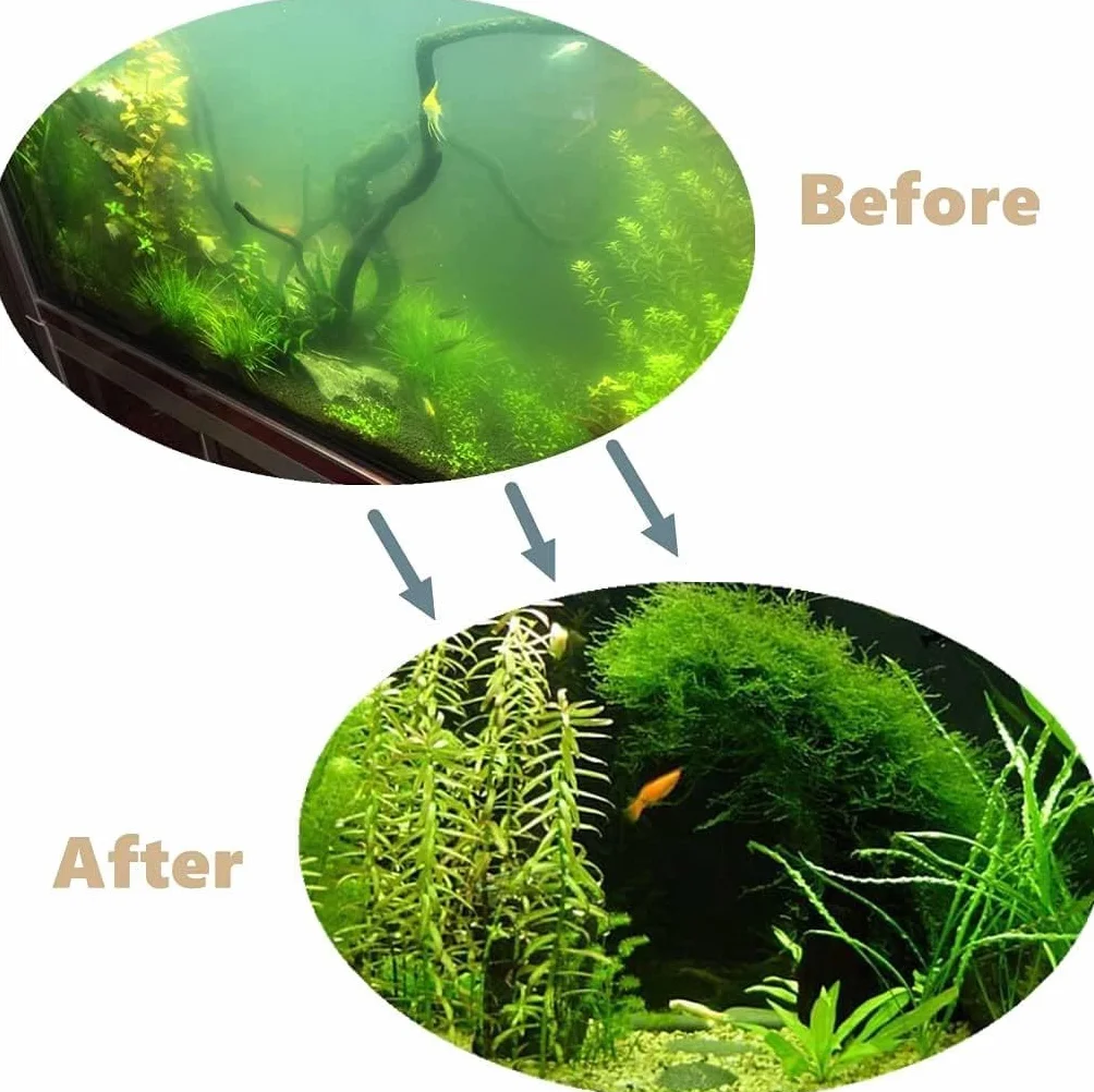 6 Pièces Outil Aquarium Acier Inoxydable 6 en 1 Aquascaping Tools